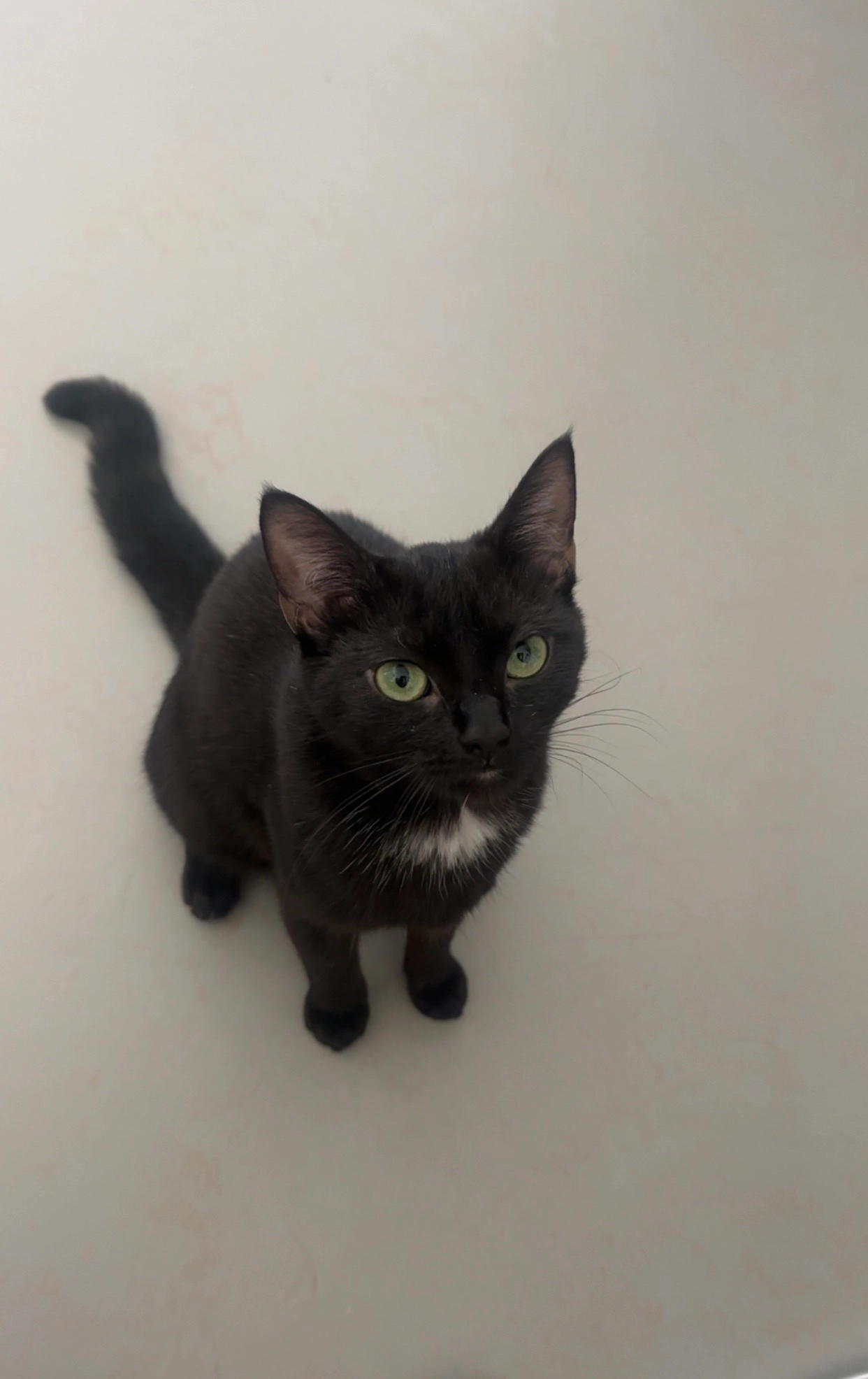 Poki - Kapellerlaan, Roermond