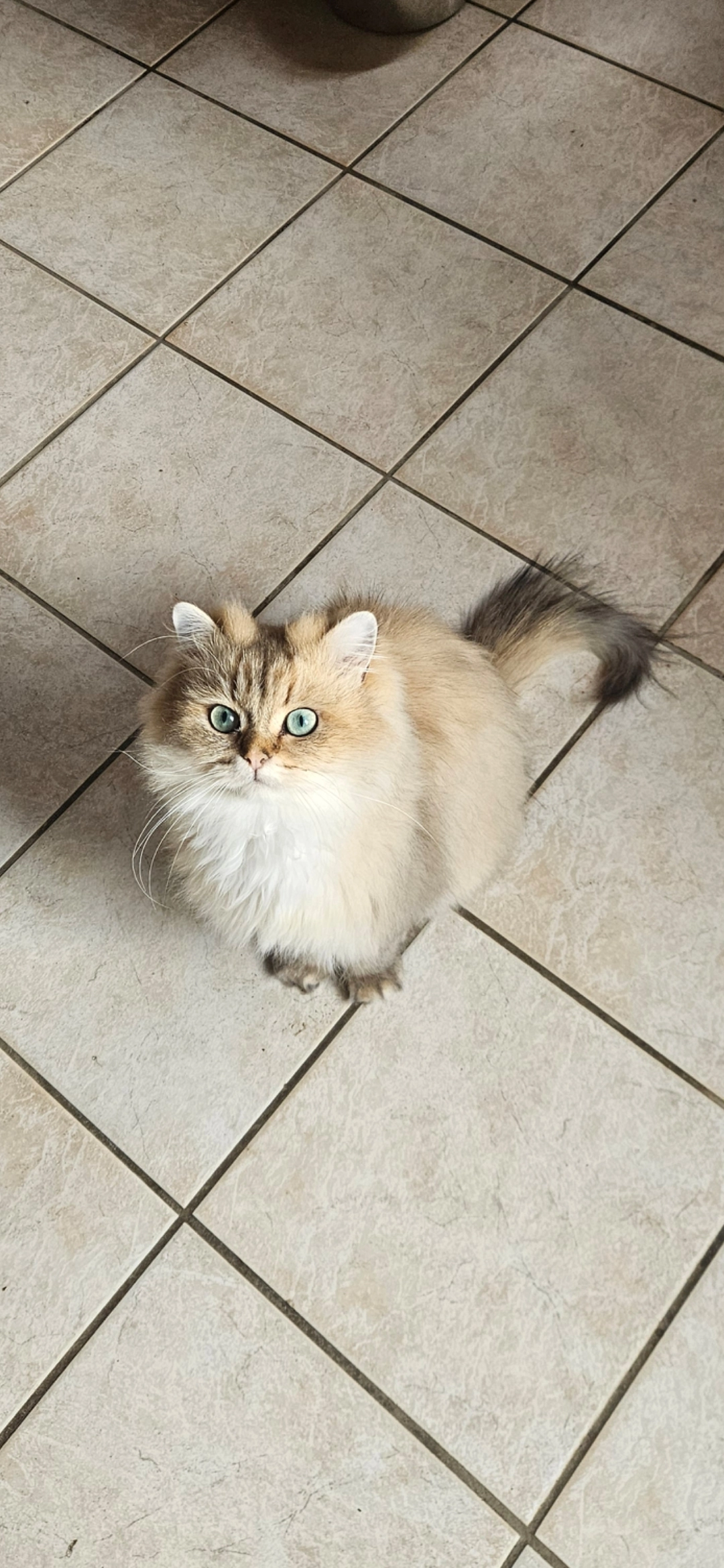 Berlioz - Chemin Vert, Saint-Étienne-sur-Usson