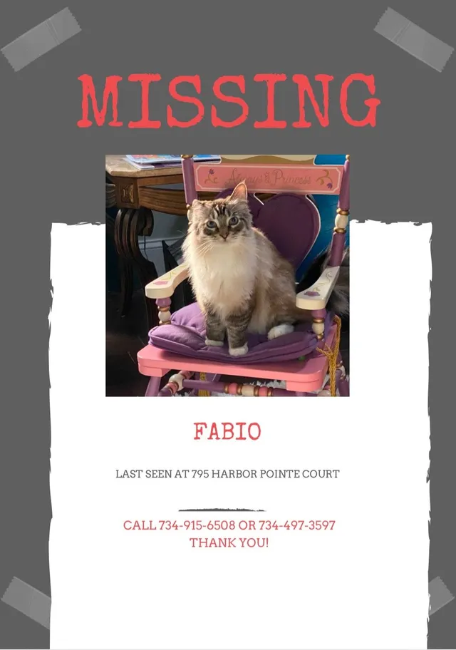 Fabio - 795 Harbour Pointe Ct, Belleville
