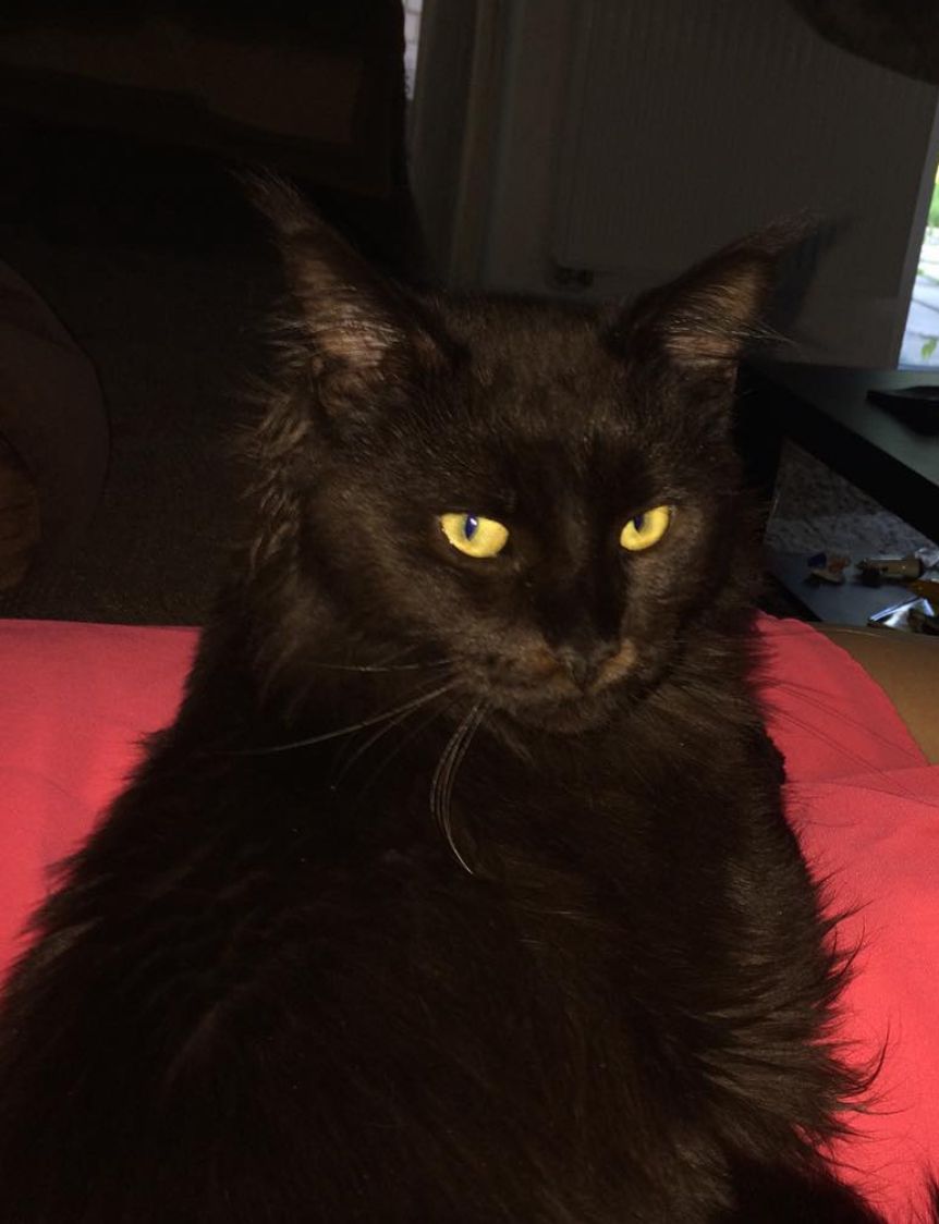 Votan - Dinscheder Straße, Arnsberg