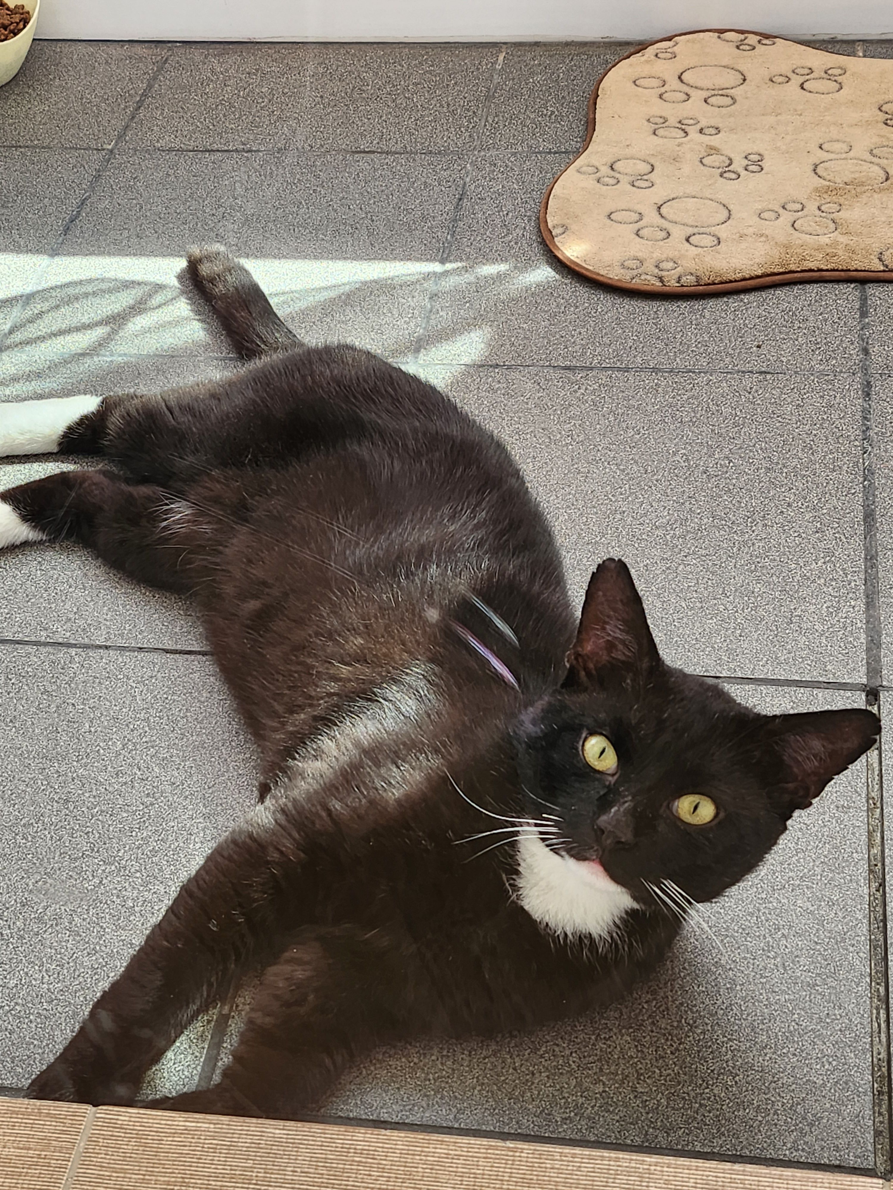 Tomy - Haubergstraße, Dietzhölztal