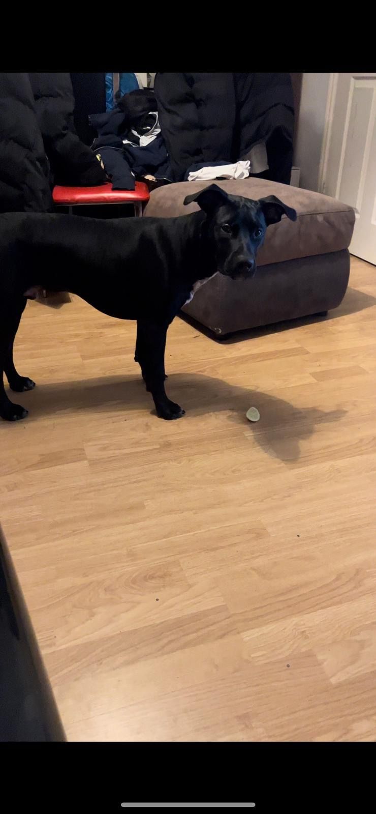 Kenzo - RG5 3, Reading