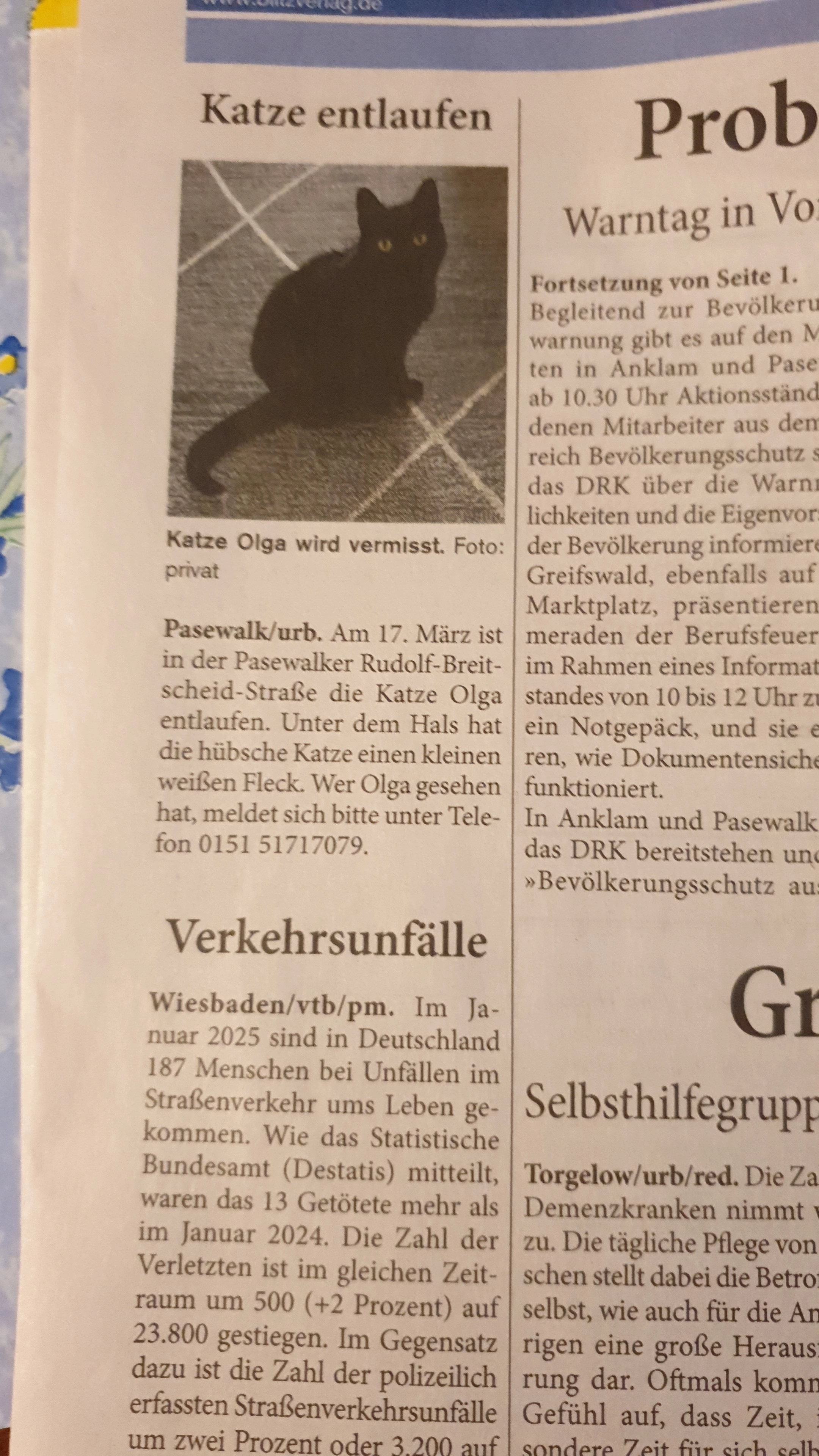 Olga  - Rudolf-Breitscheid-Straße, Pasewalk