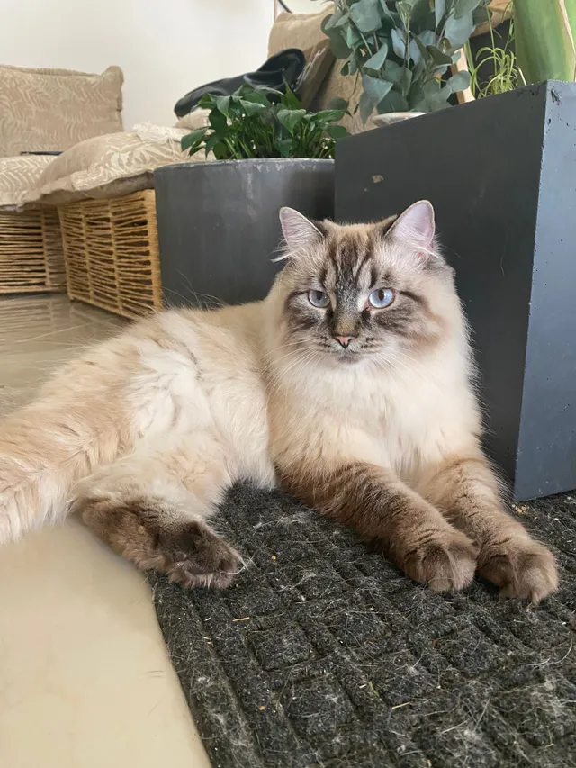Ziggy - 220 SE 2nd St, Fort Lauderdale