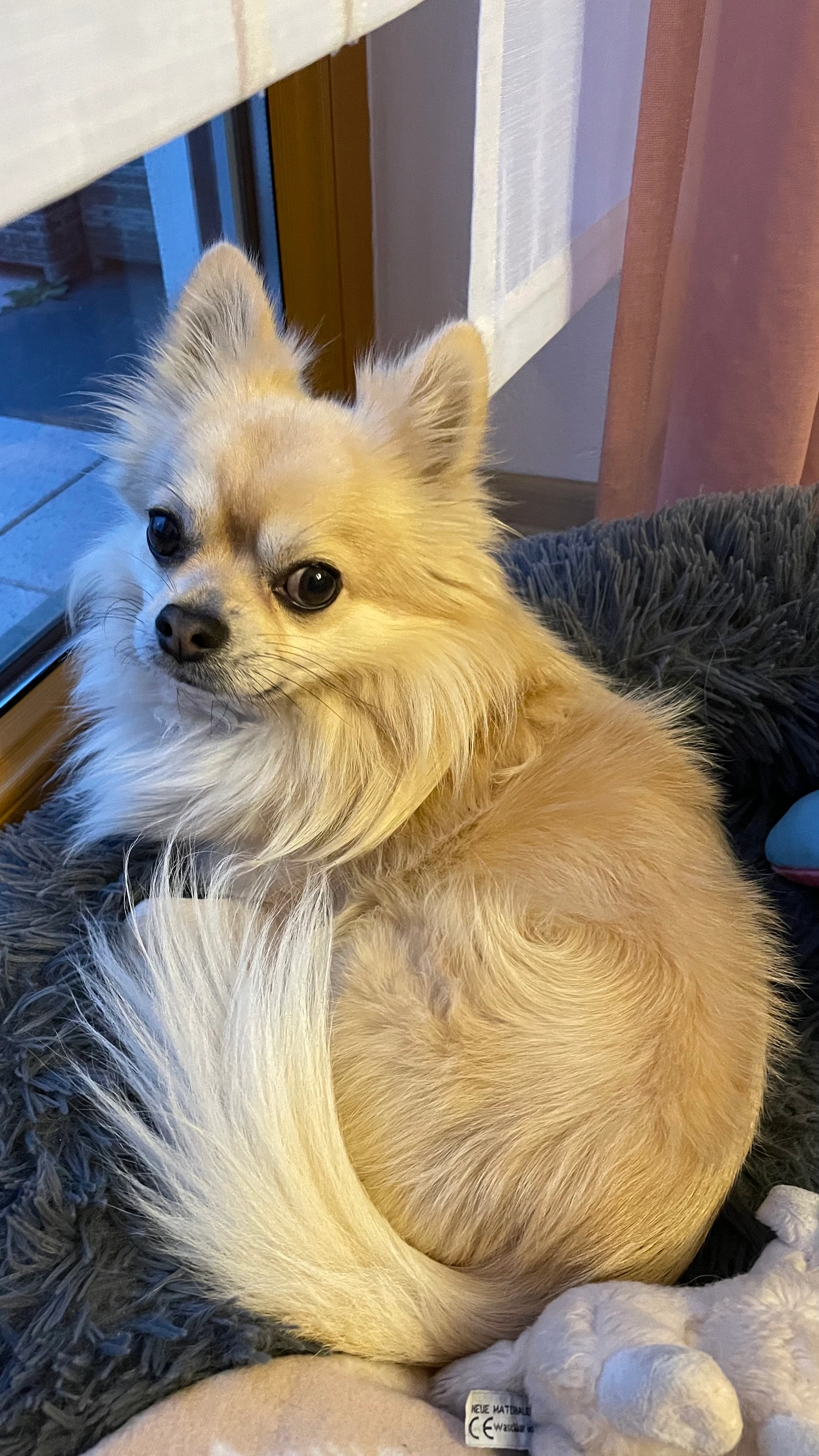 Lui - Lärchenweg, Neunburg vorm Wald