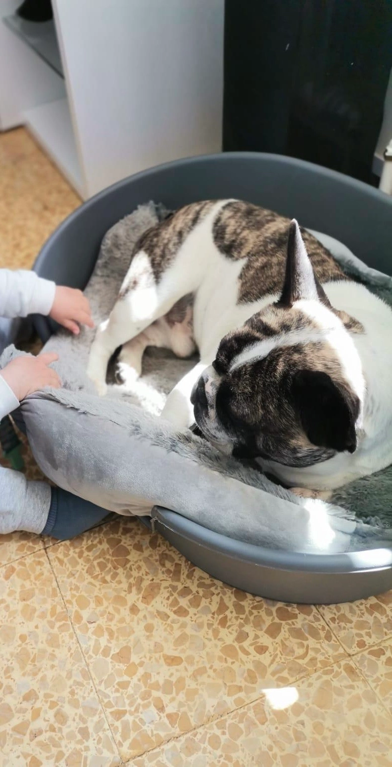 Marley  - Rue De Launay, Forges-les-Bains