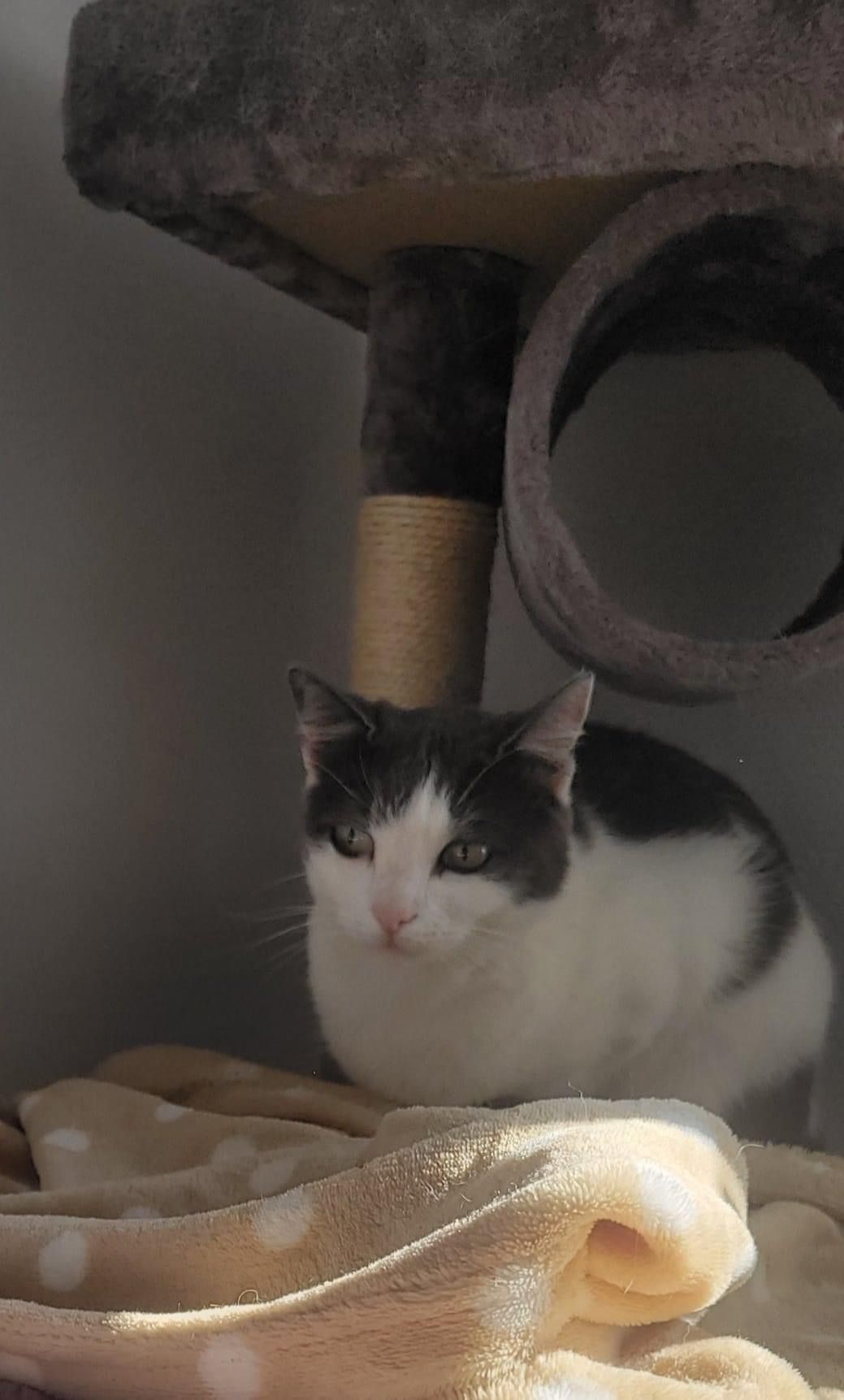 Lucy - Immanuel-Kant-Straße, Königslutter am Elm