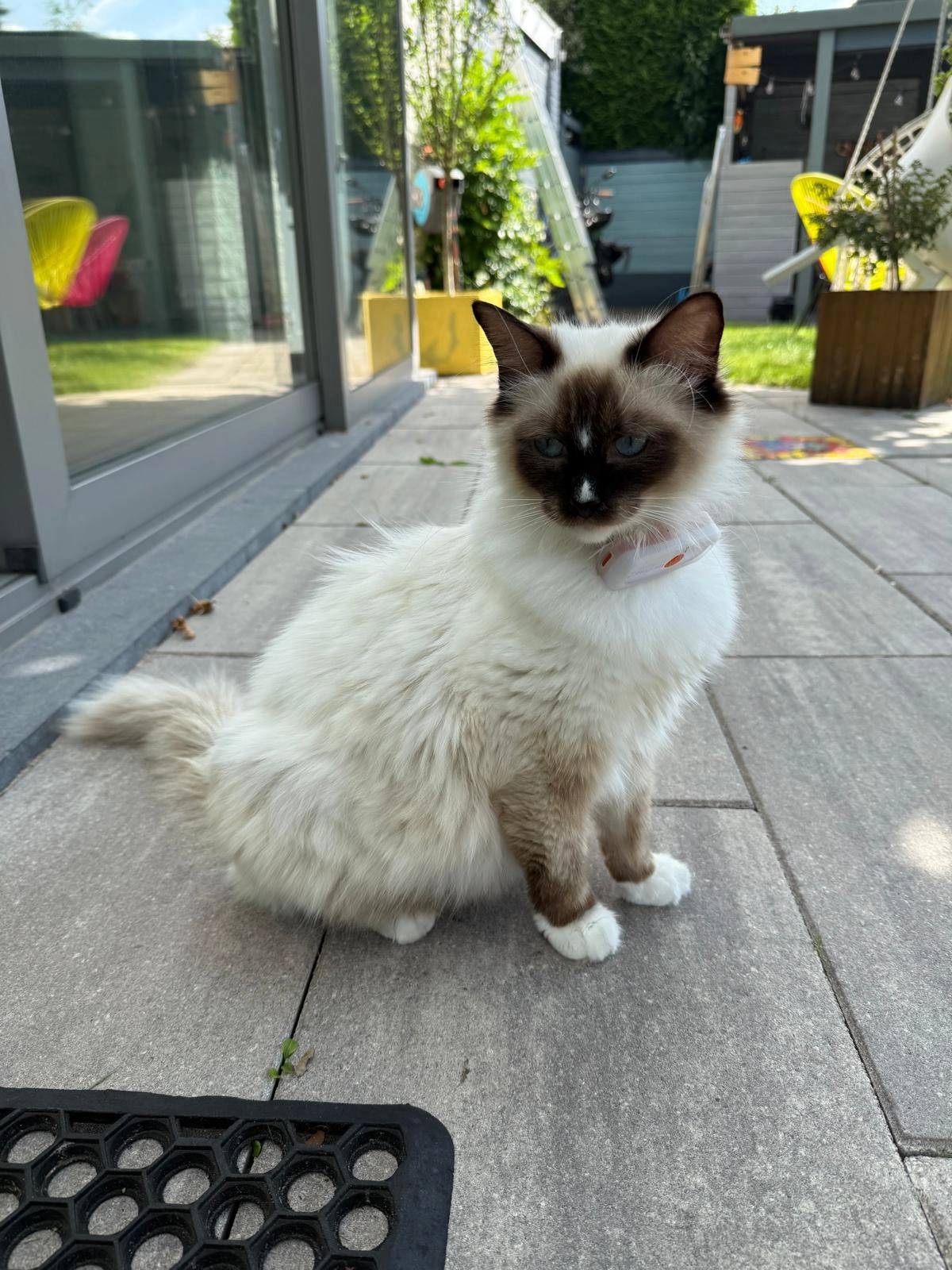 Floatie - Boekweitbeemd, Dommelen