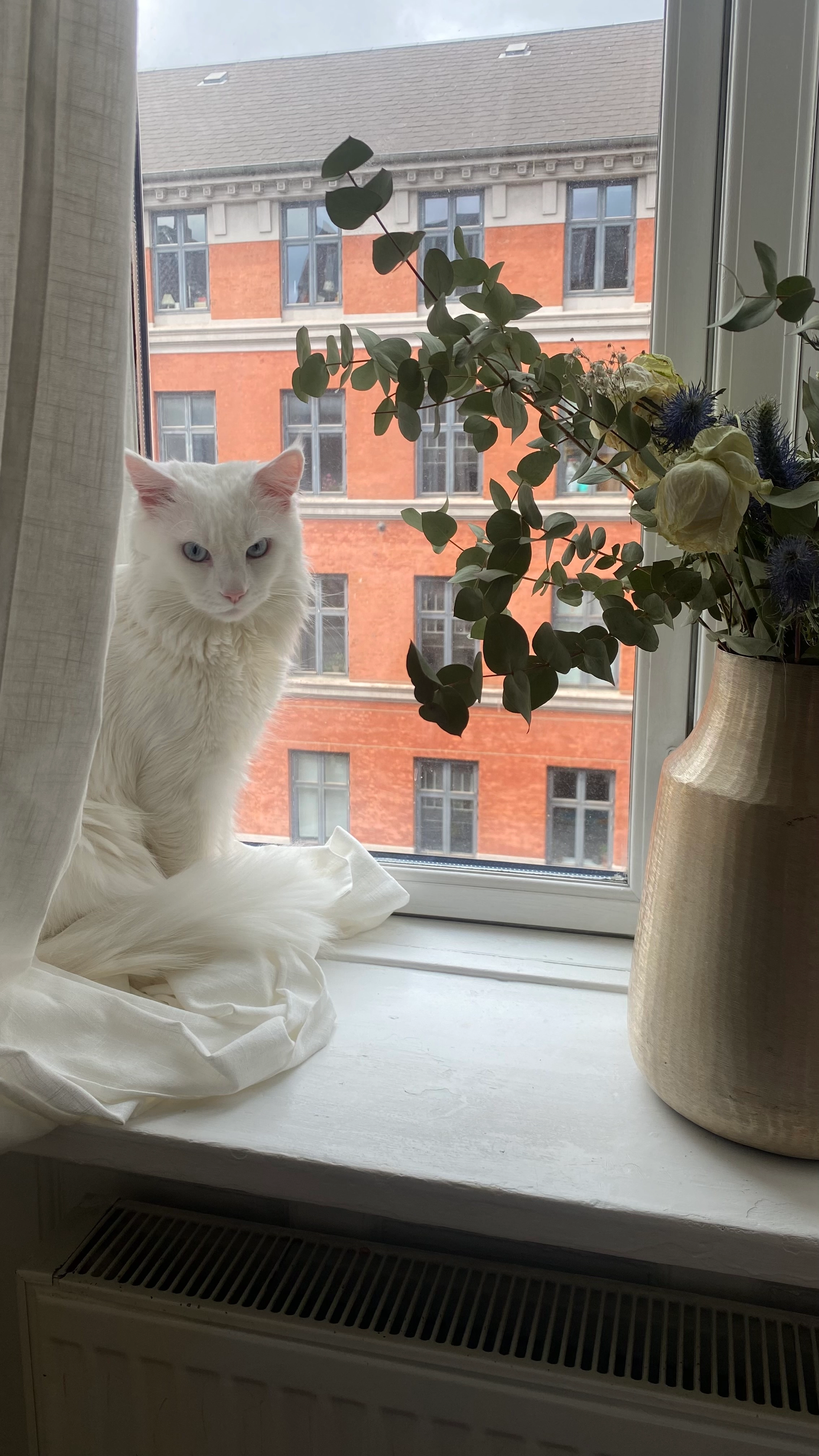 Leo - Vesterbrogade, Copenhagen