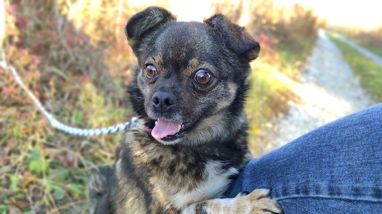 Berta - 67470, Seltz