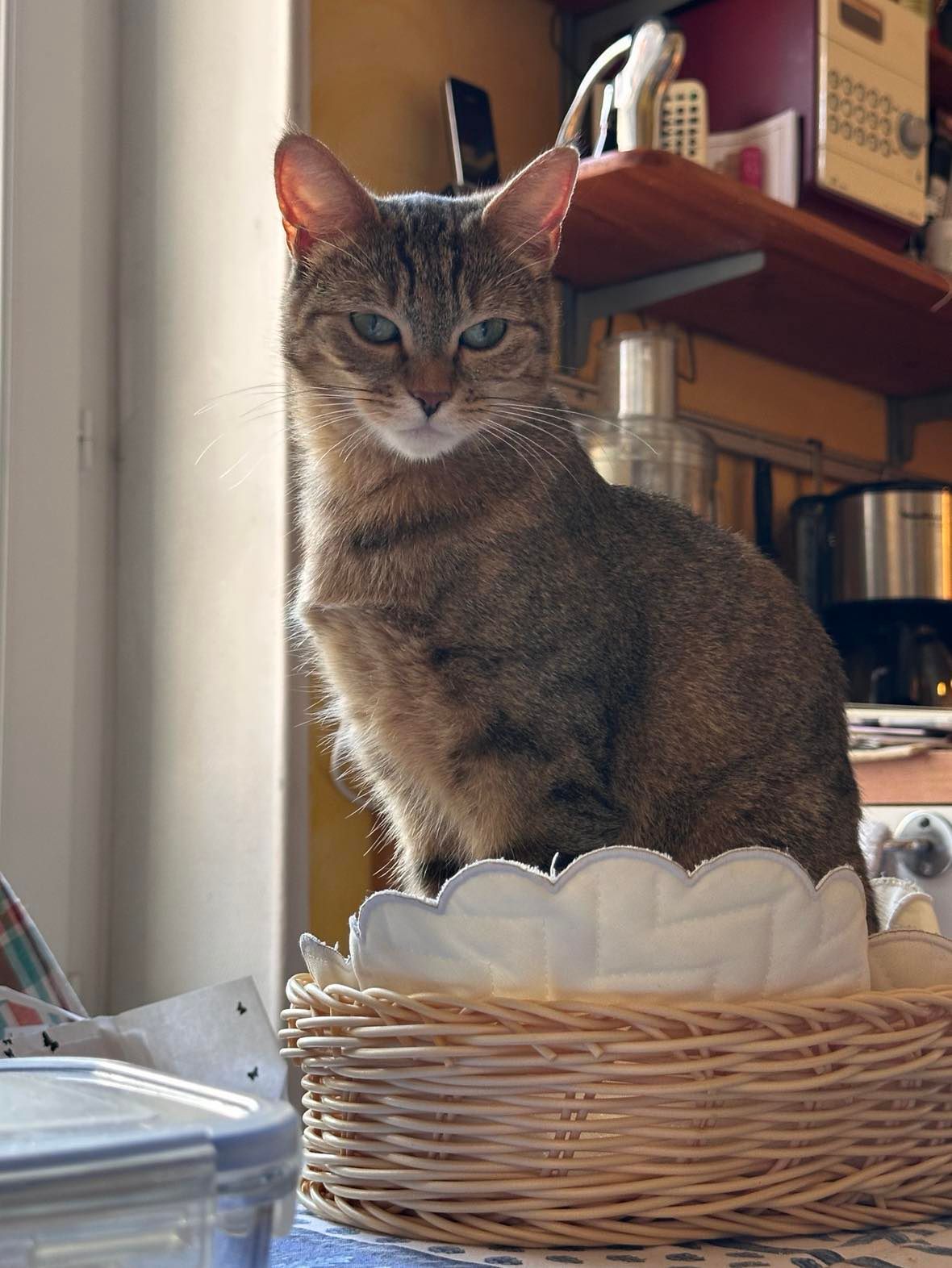 Prudence - Rue Jean Desorges, Cusset