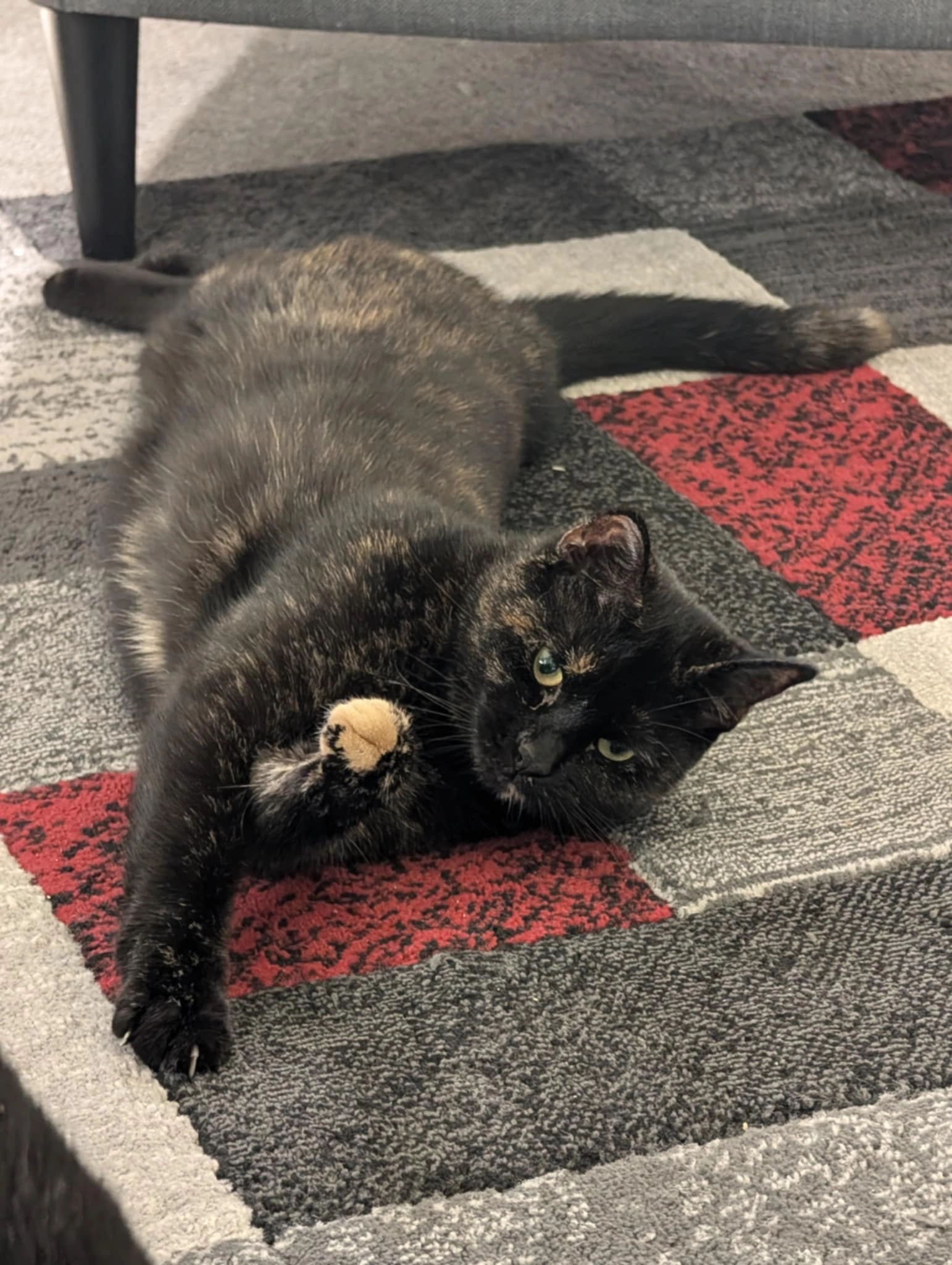 Sock - Peter Place, Crewe