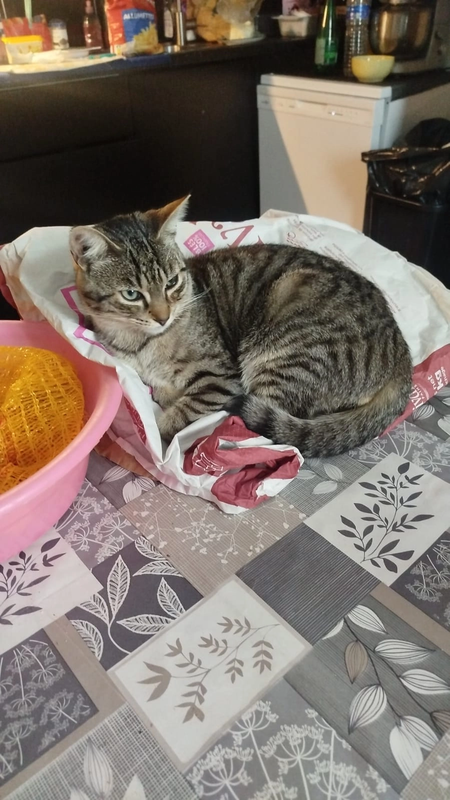 Simba - Route de Limoges, Aixe-sur-Vienne