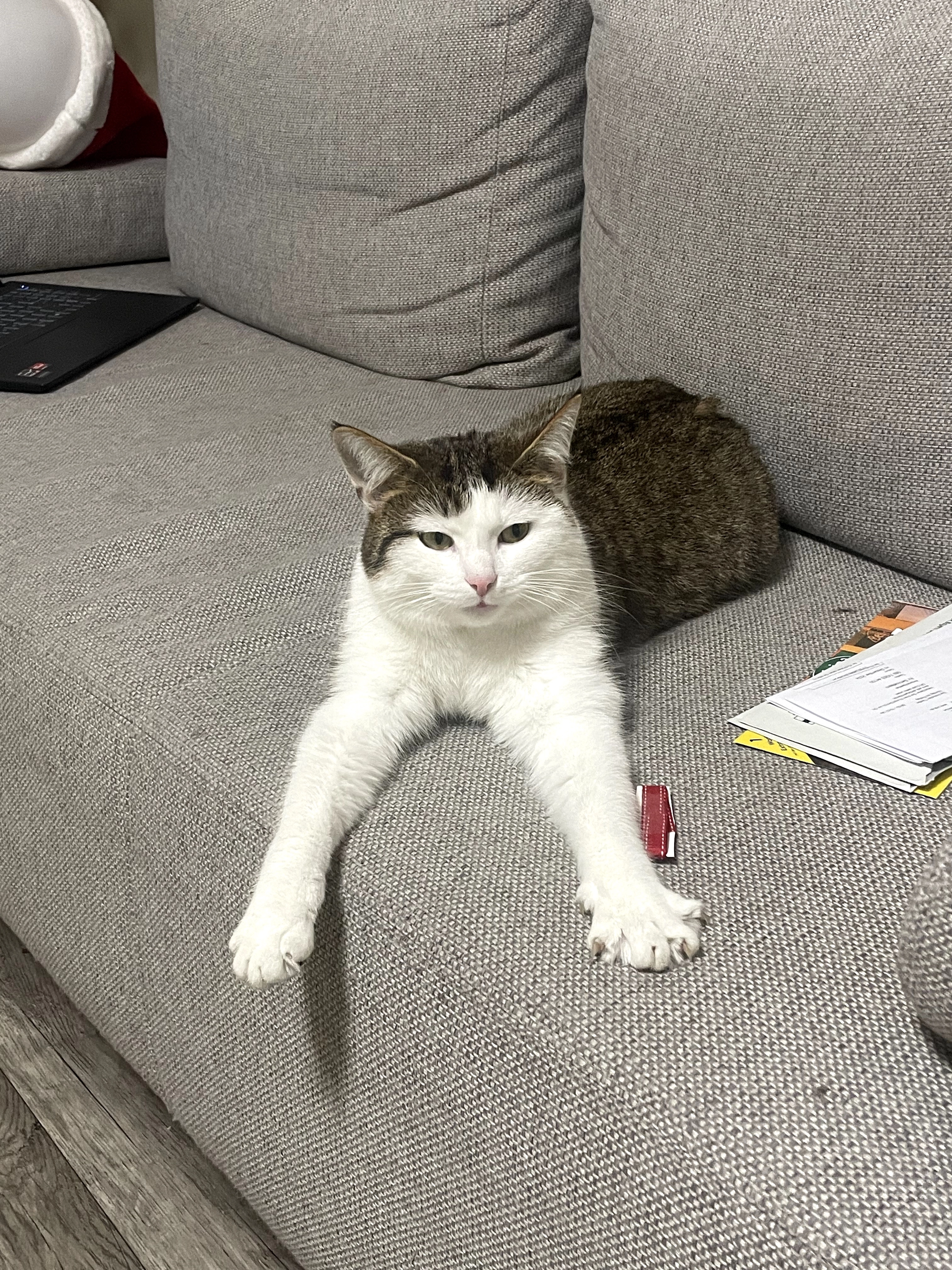 Bruna - Florian-Geyer-Straße, Schweinfurt