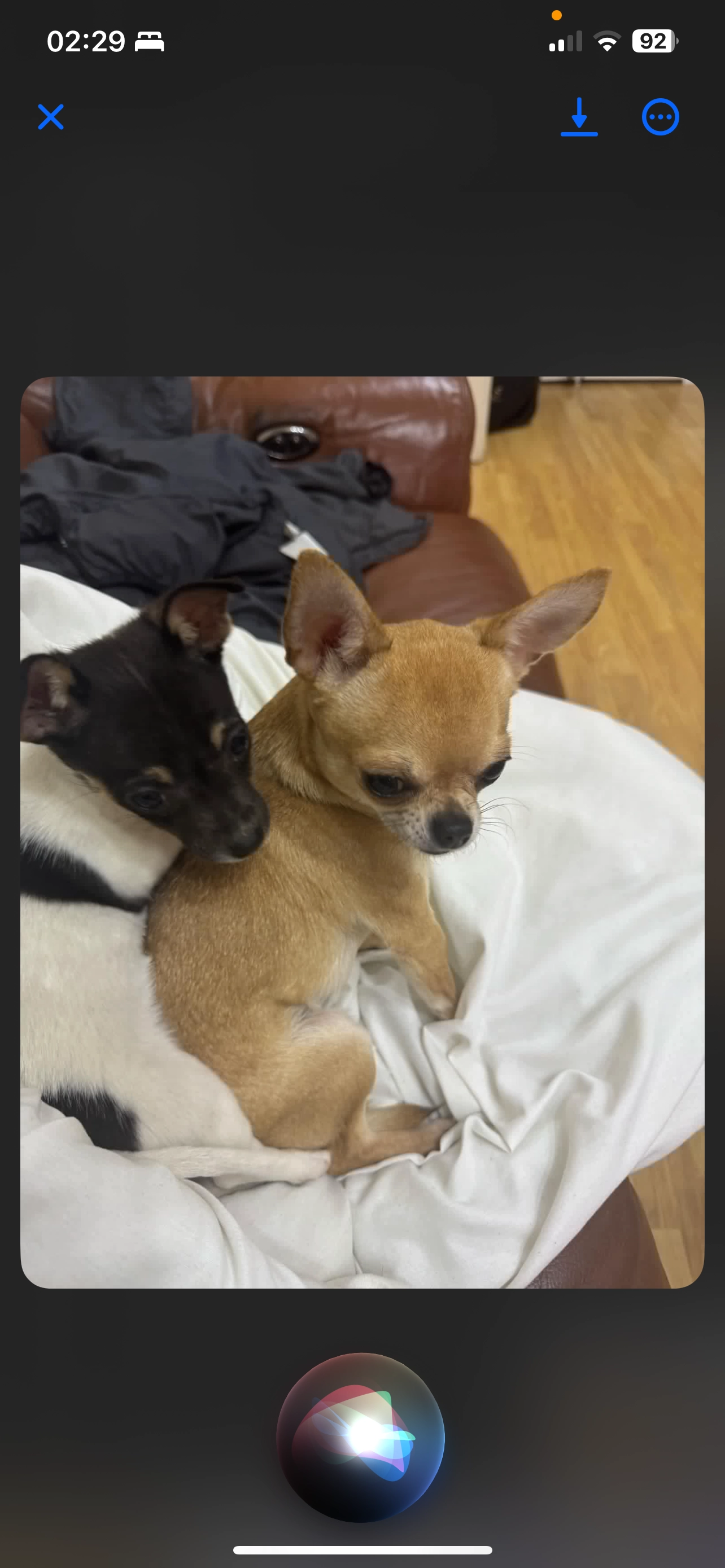 Bông - Cecil Road, London