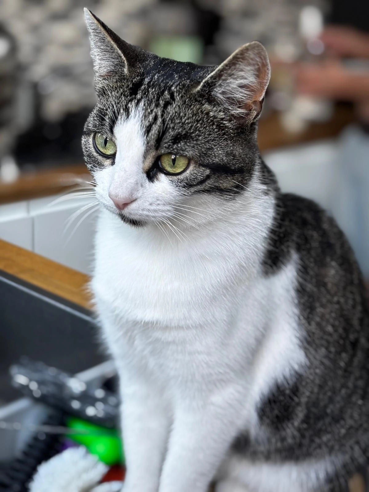 Boeffie - Beukenstraat, Beverwijk