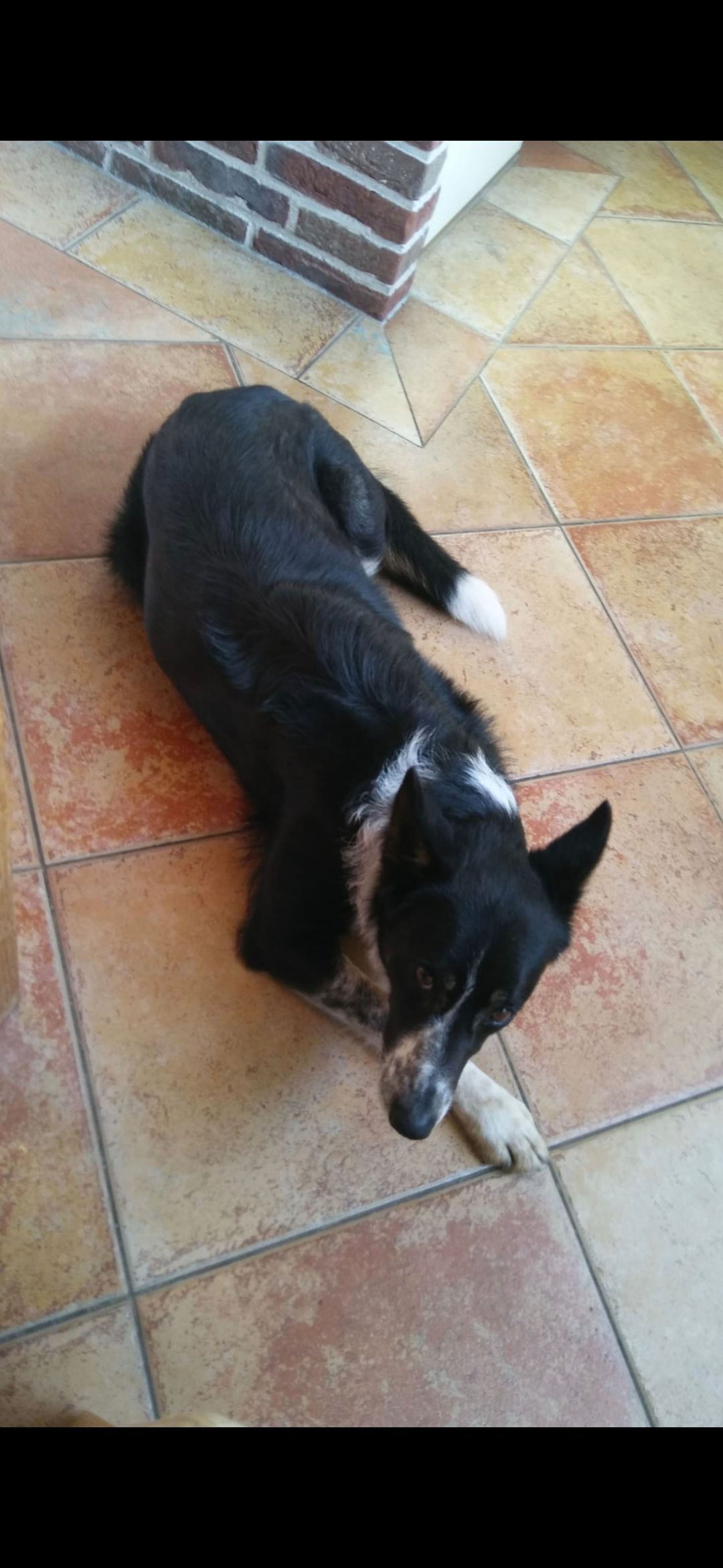 Tess - Middenweg, Heerhugowaard