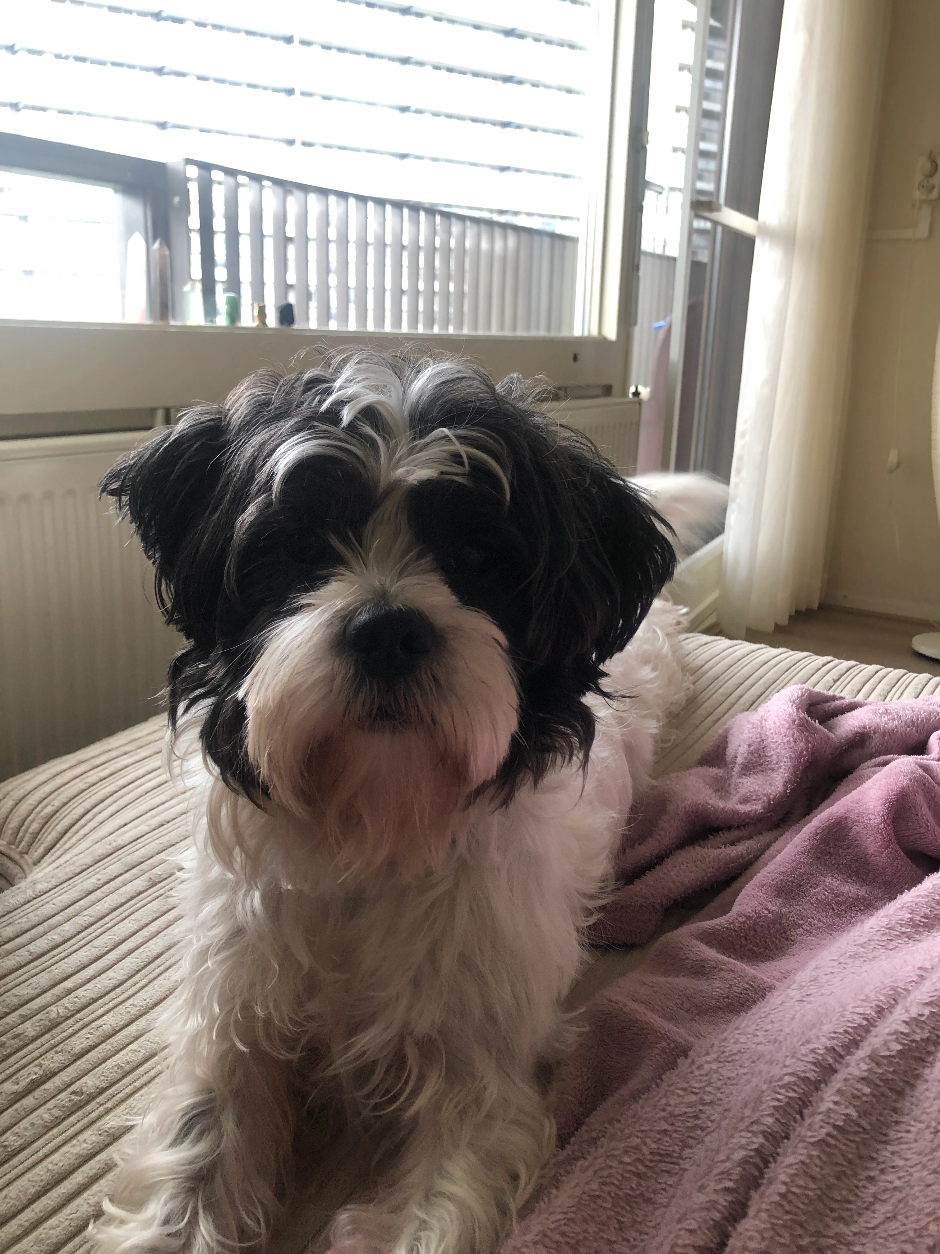 Nilda - 3069 GN, Rotterdam