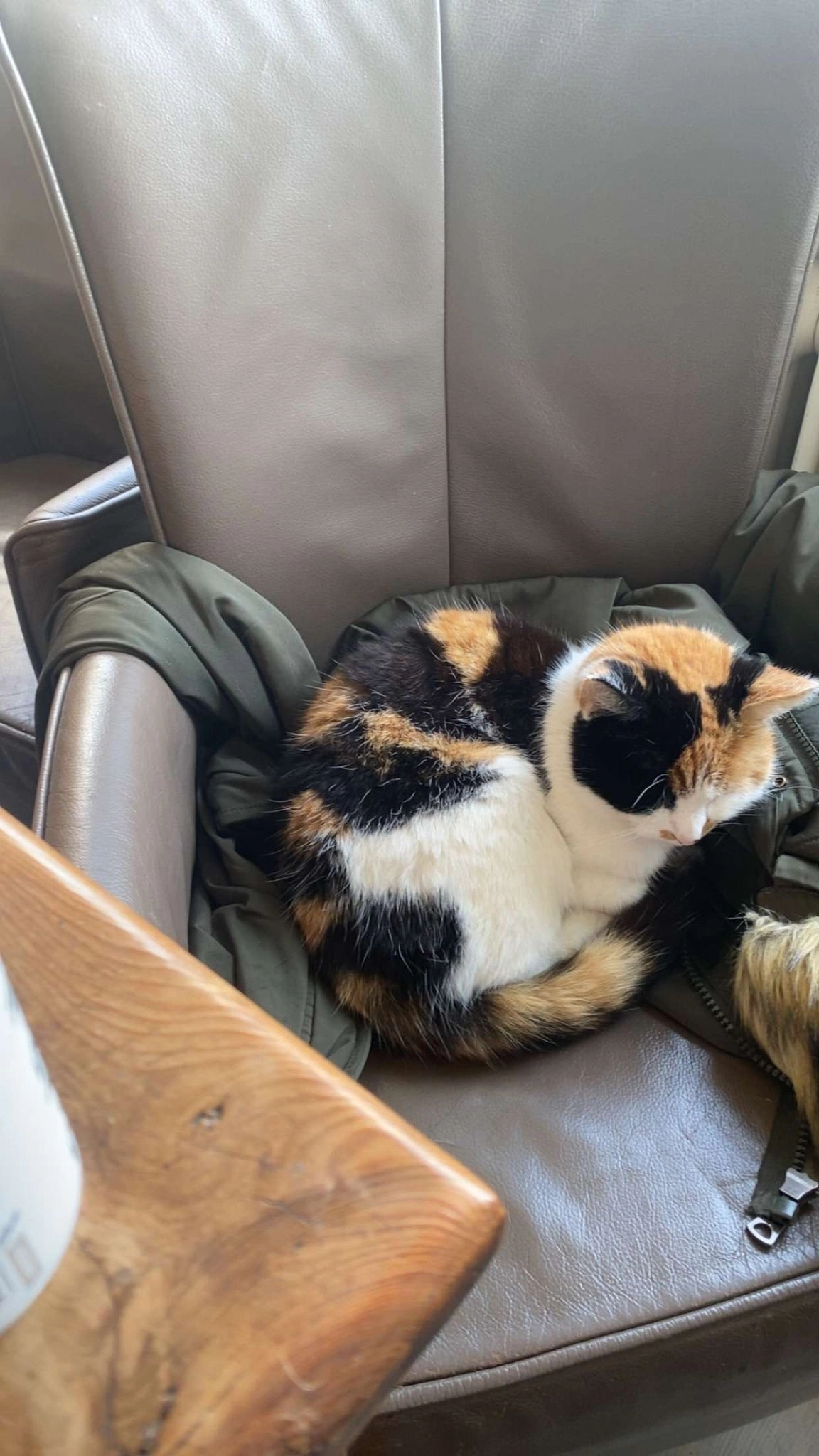 Kitty - Tunxdorfer Straße, Papenburg