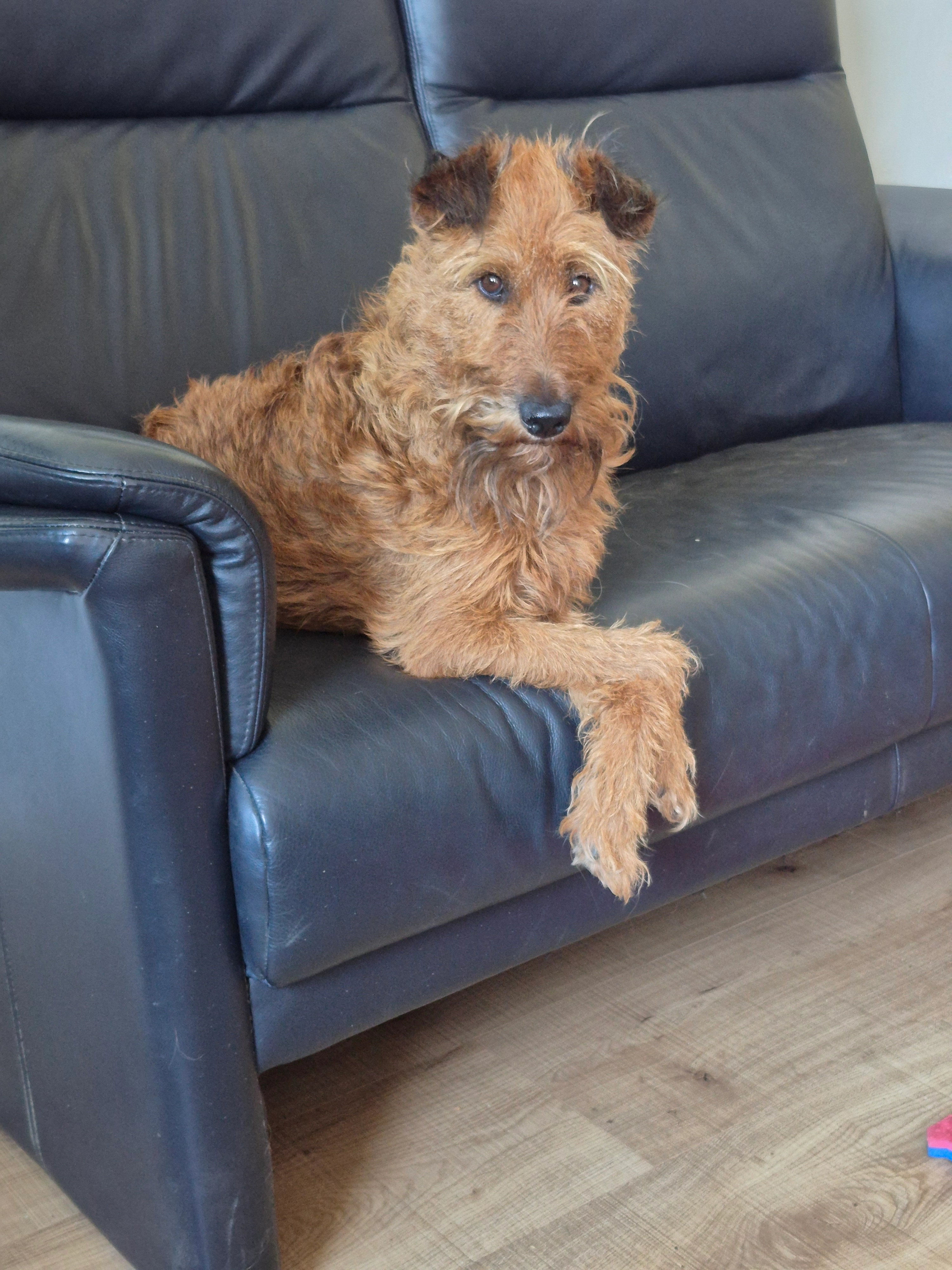 VAI - Woensbergweg, Huizen