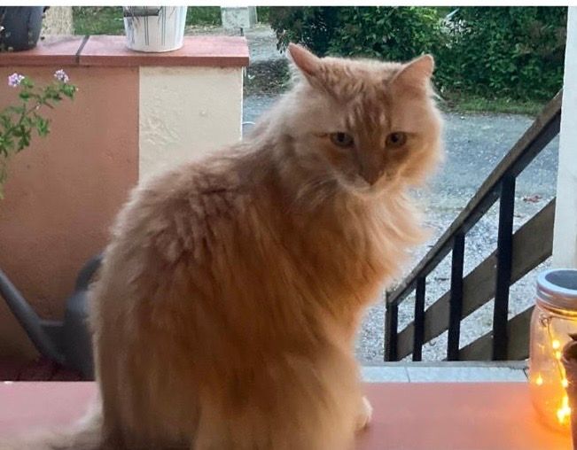 Sarou - Route de Mondilhan, Boulogne-sur-Gesse