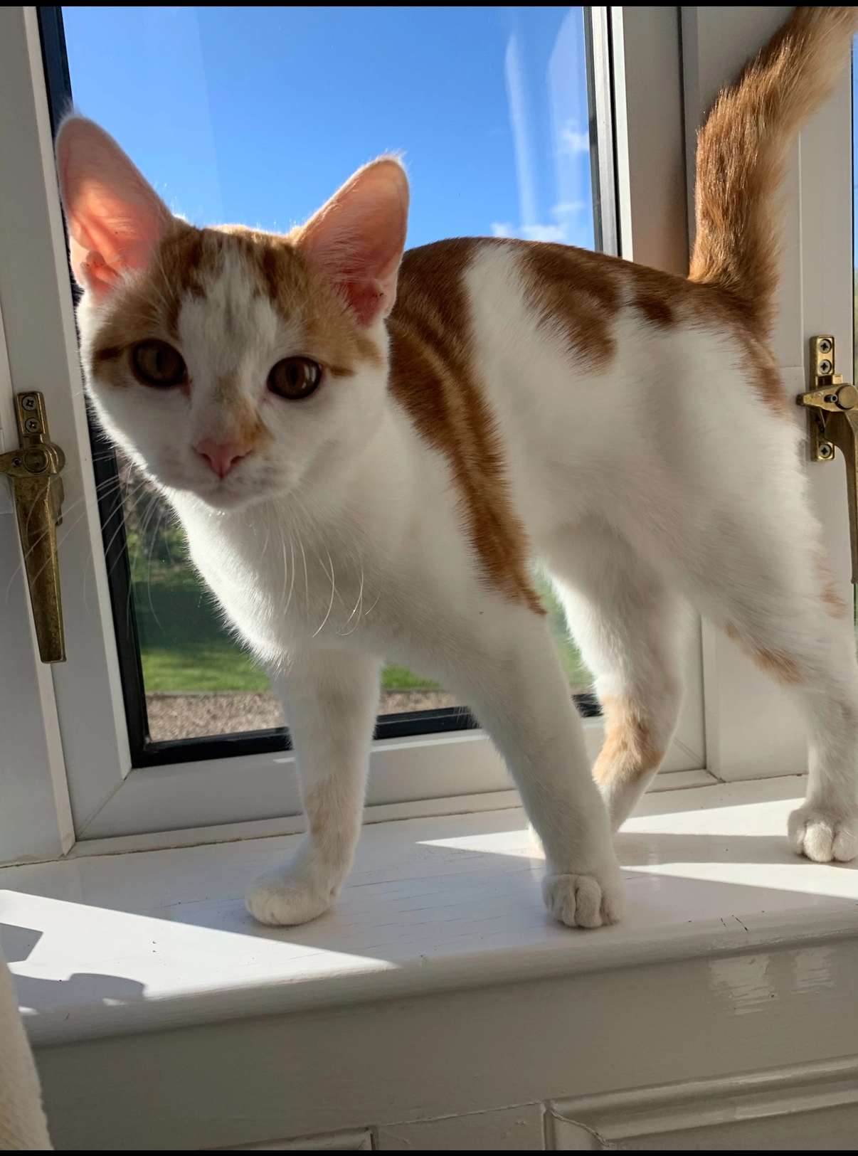 Milo - Glendon Road, Rothwell