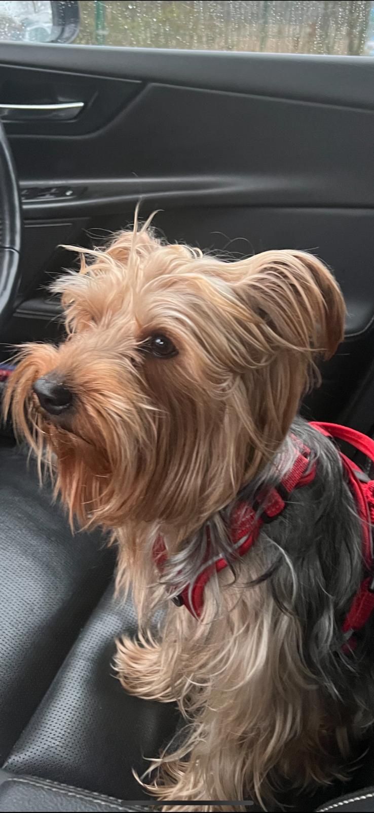 green - GU12 4, Aldershot