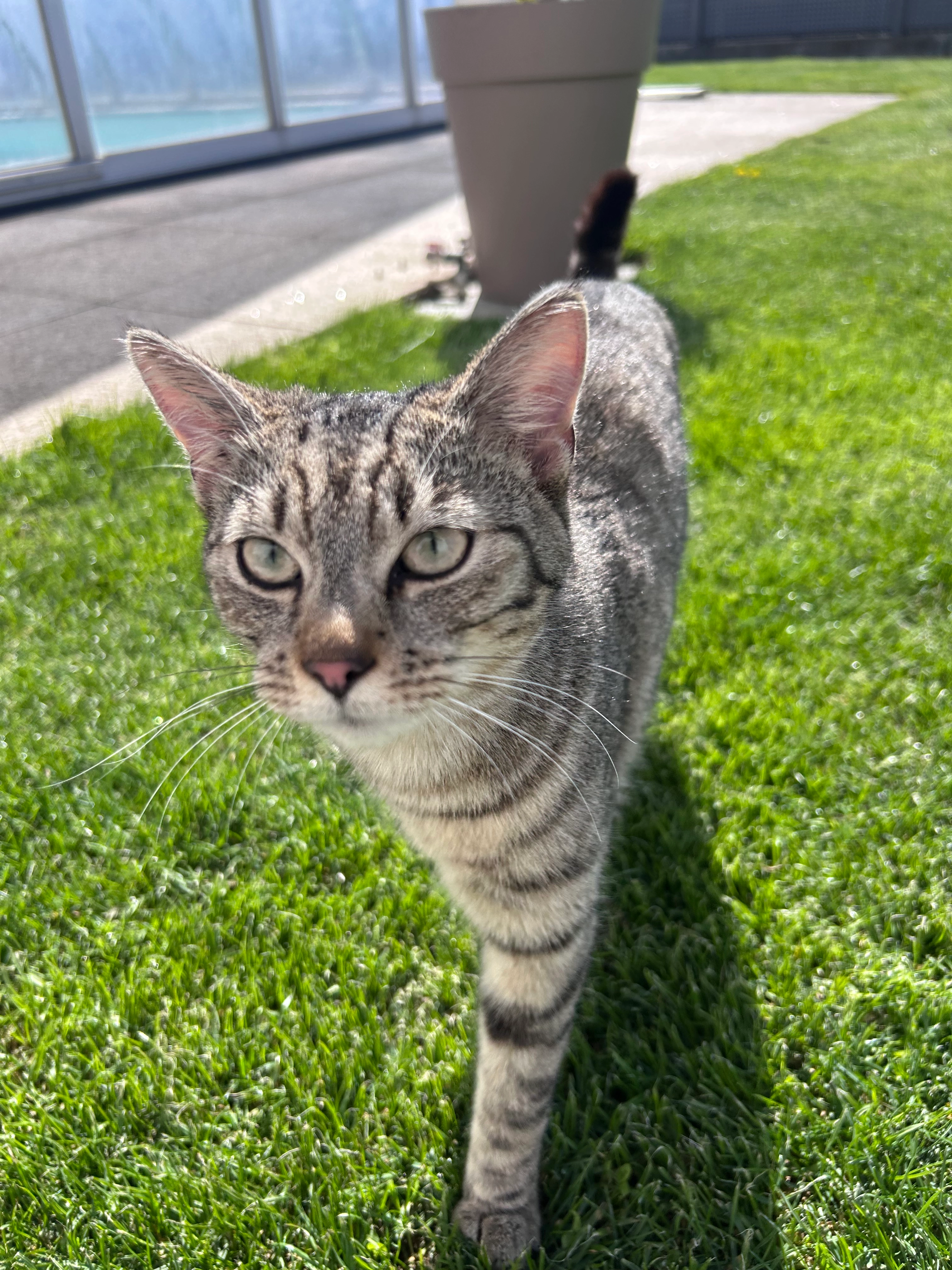 Leo - Oberer Markt 4, Reichenthal