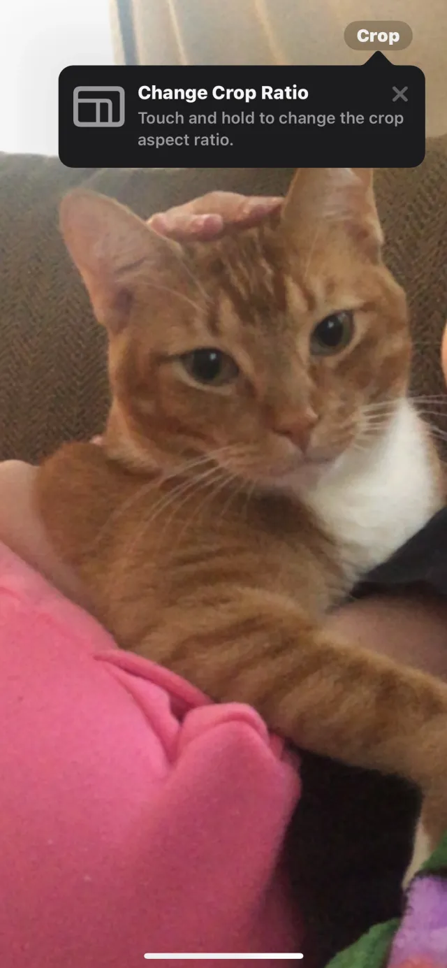 Leo - 2036 Pine Ter, Sarasota