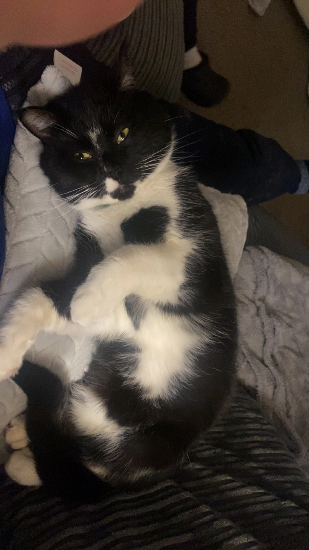 Milo - BB4 6, Rossendale