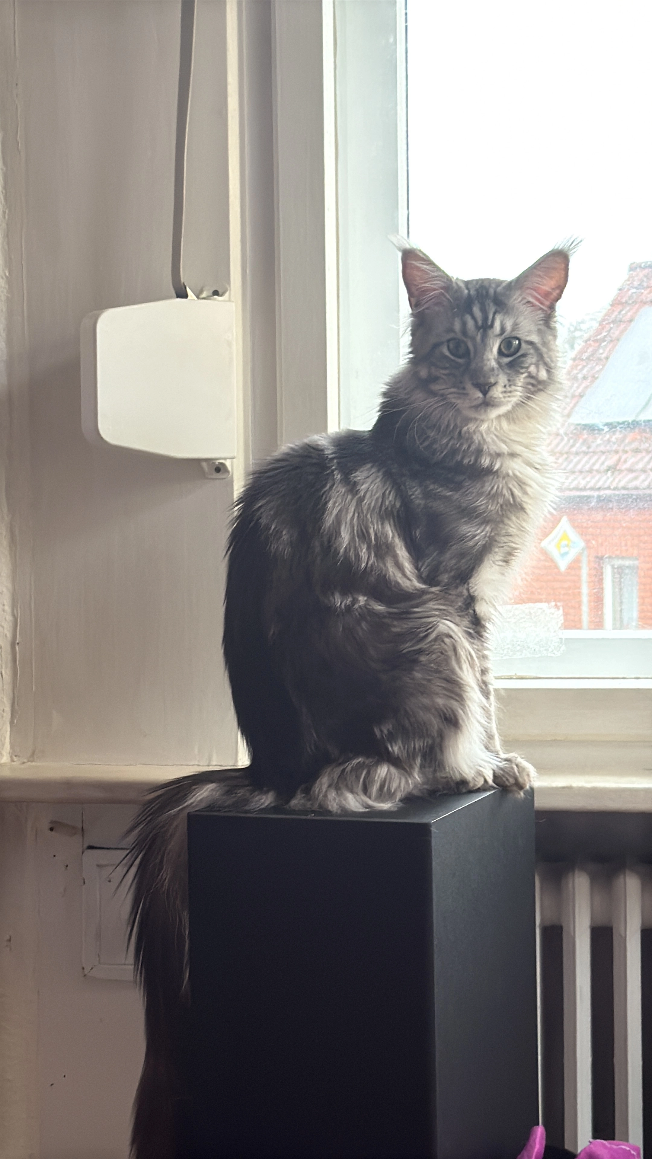 Mercy - Lenzener Straße, Wittenberge