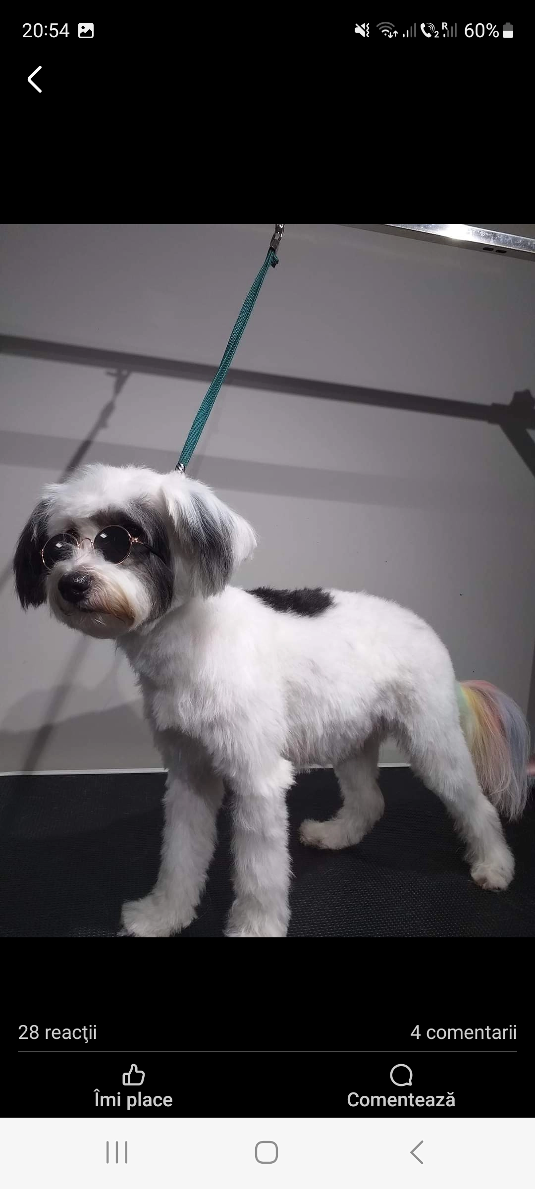 Lulu - Head Street, Halstead