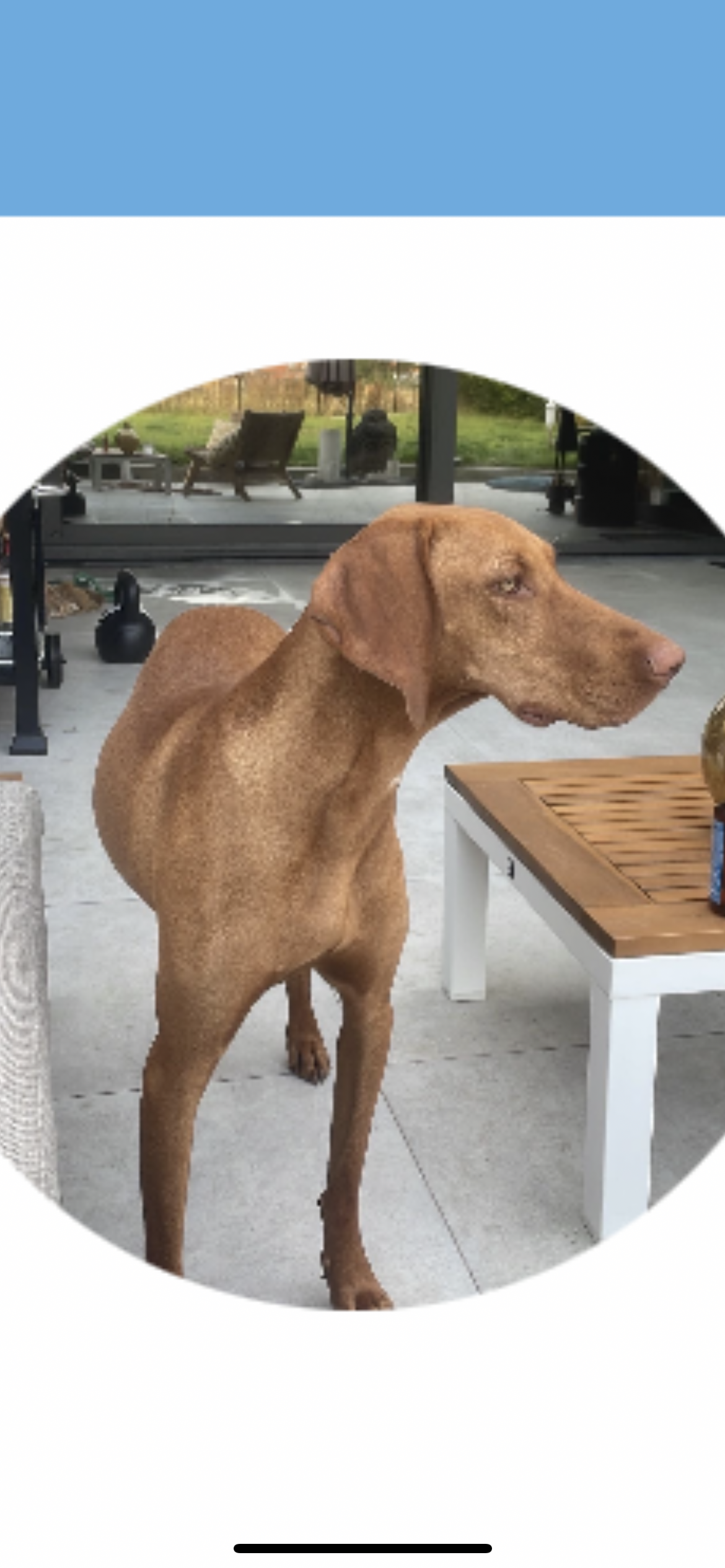 Riva - Oude Truierbaan, Hasselt