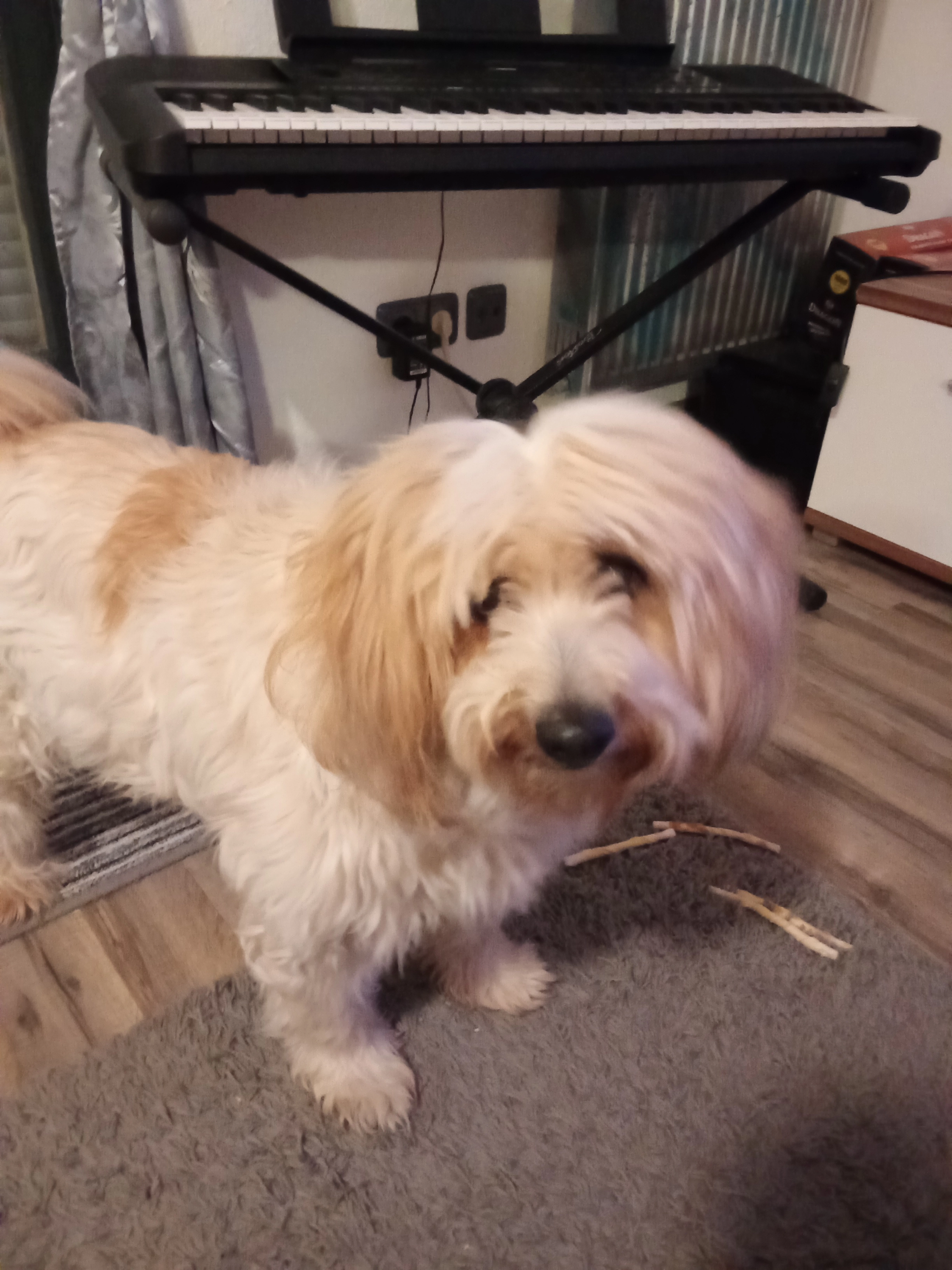 Kyra - 94107, Untergriesbach