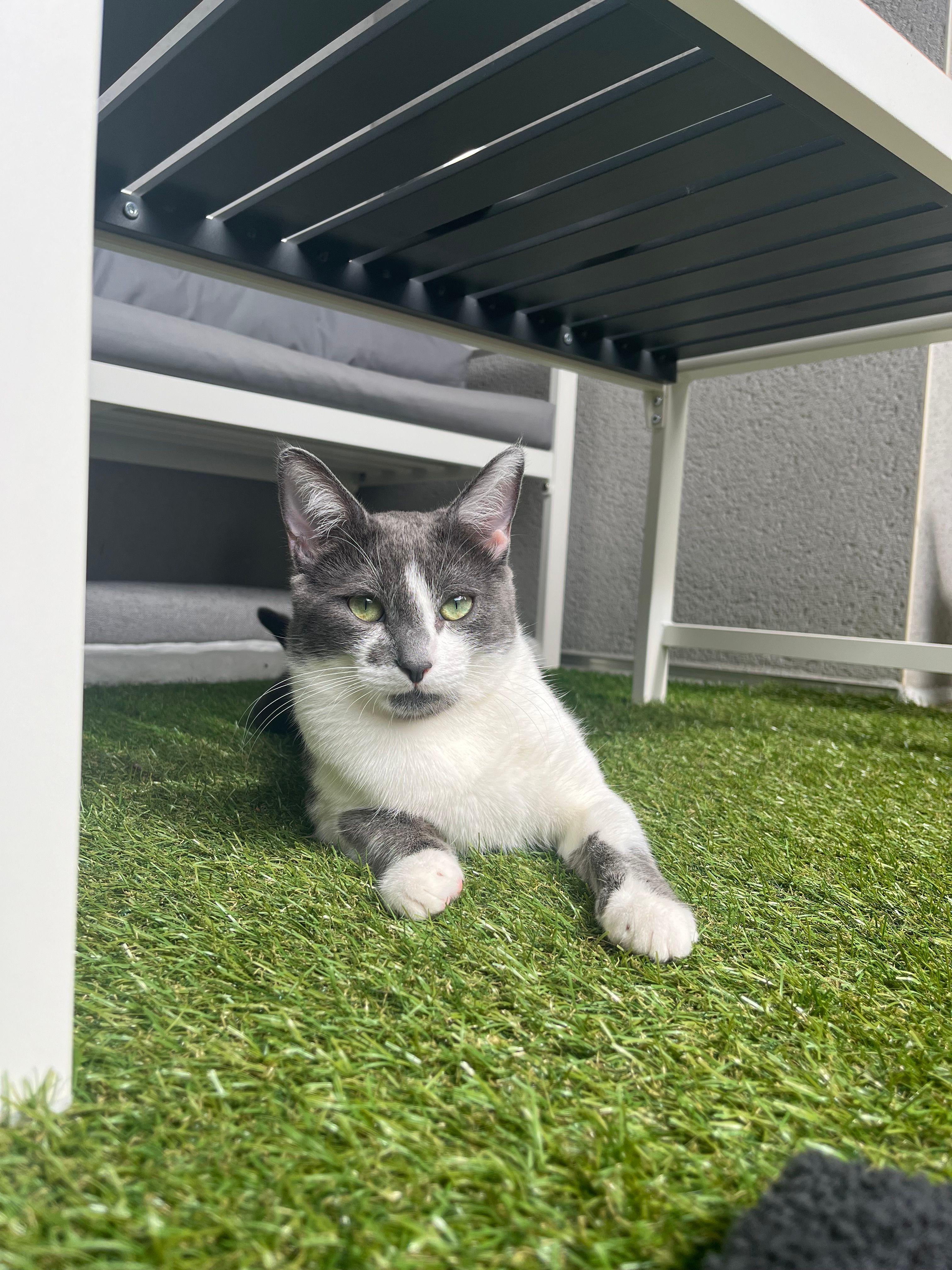 Kenta - 16 Avenue de Bourran, Rodez