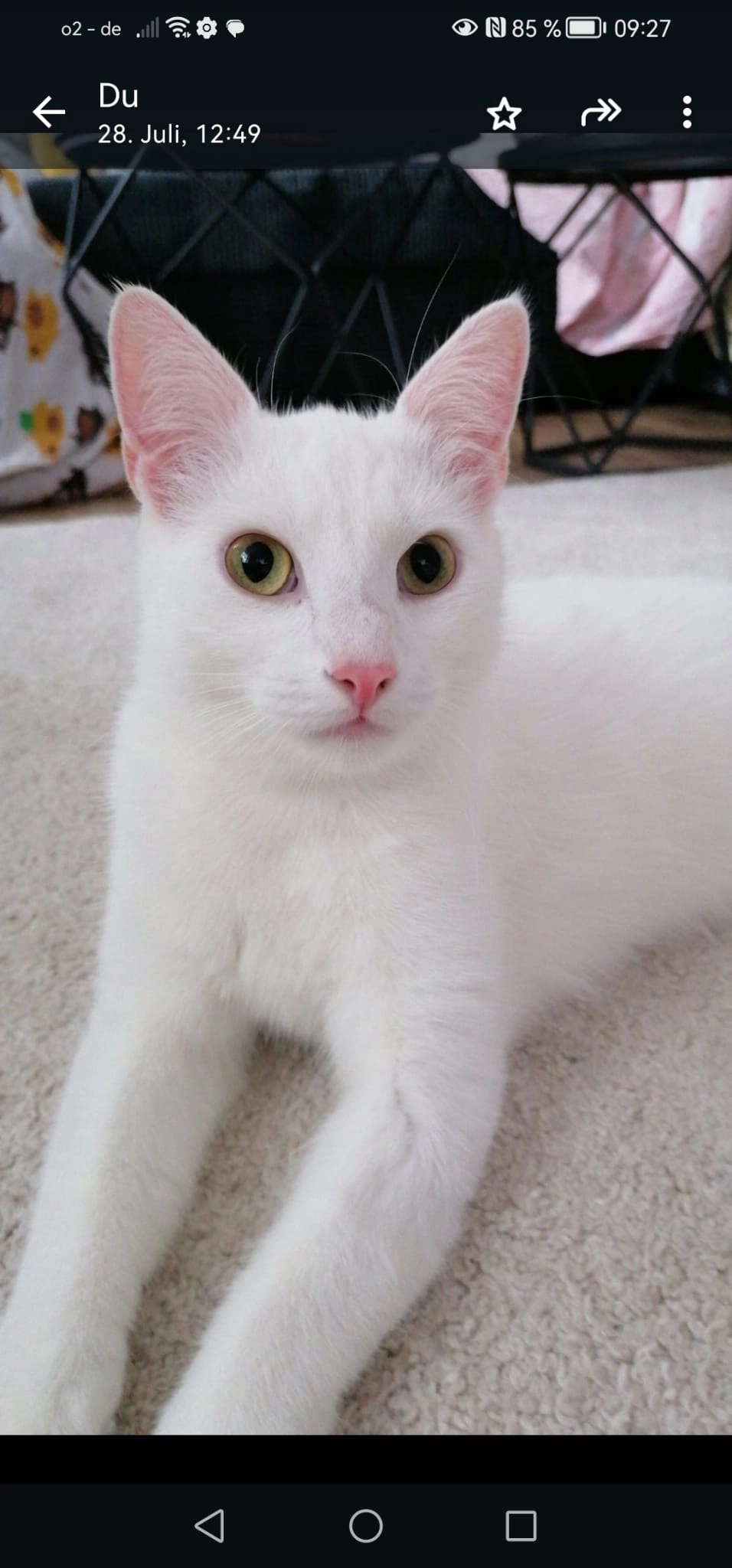 Merlin - Zülpicher Straße 386, Köln