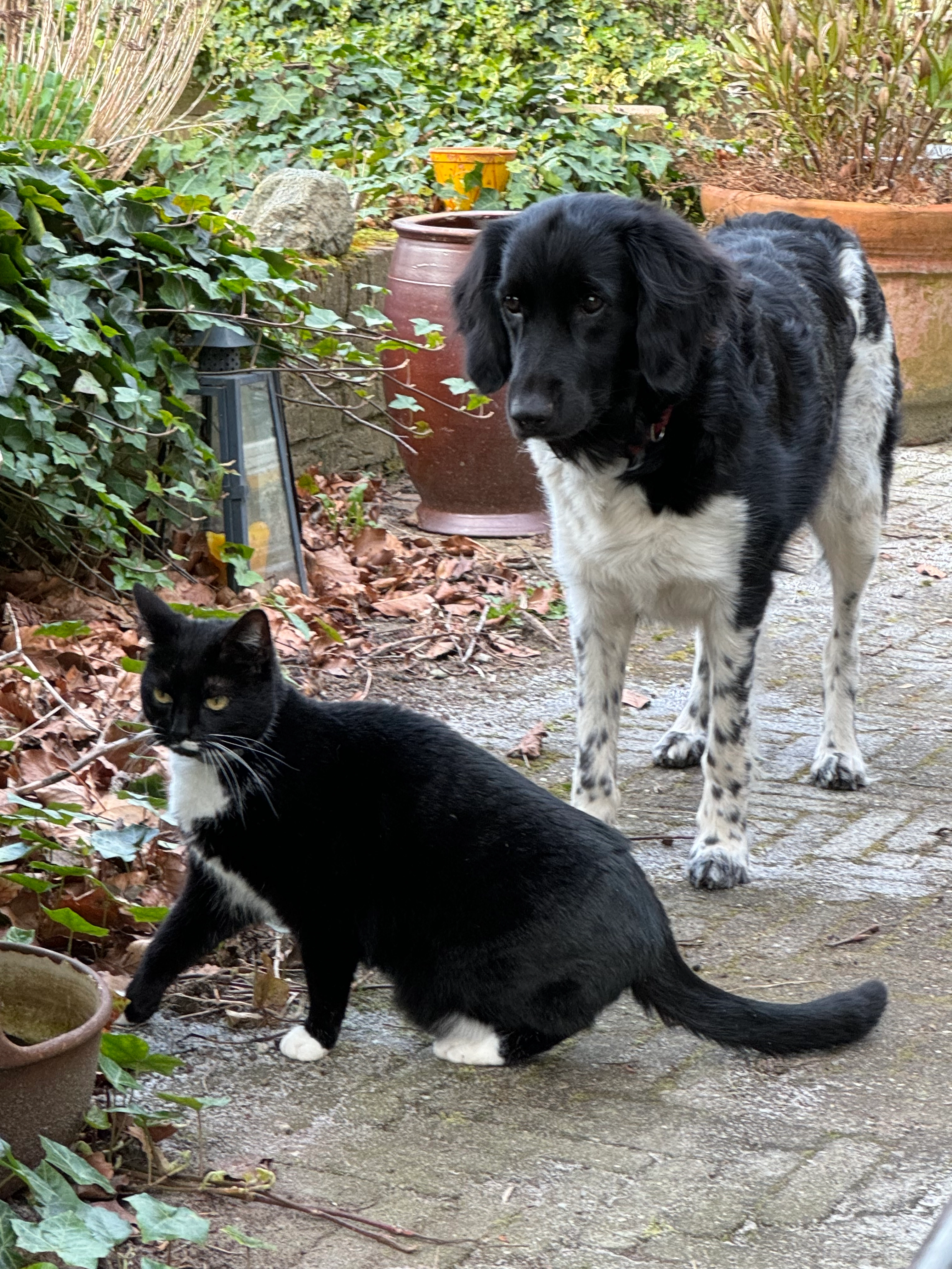 Floortje - Goordijk 1, Gelselaar