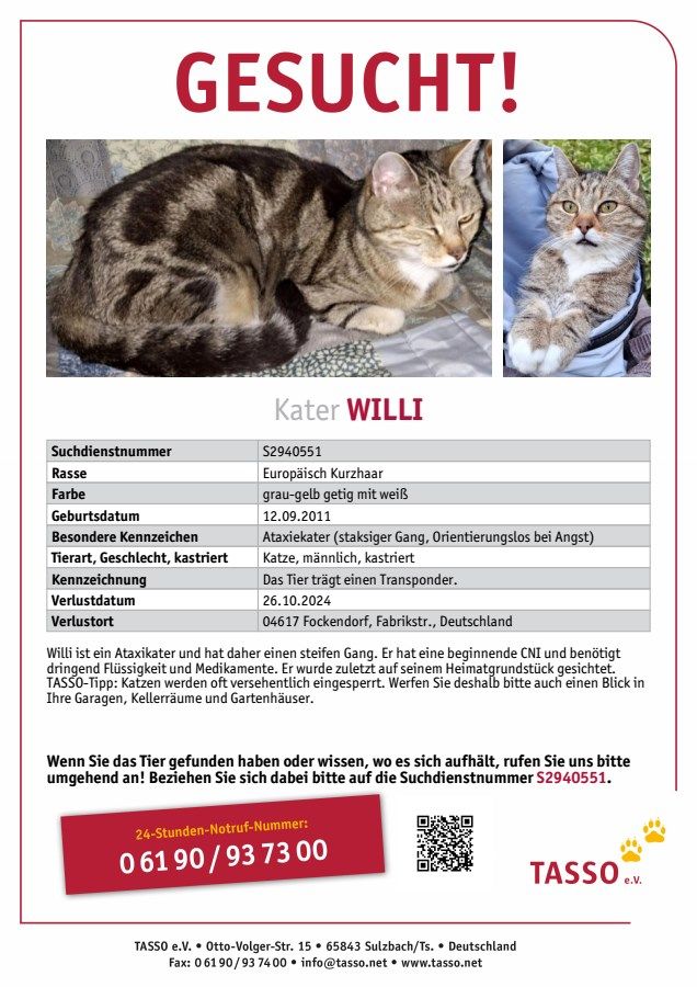 Willi - Fabrikstraße, Fockendorf