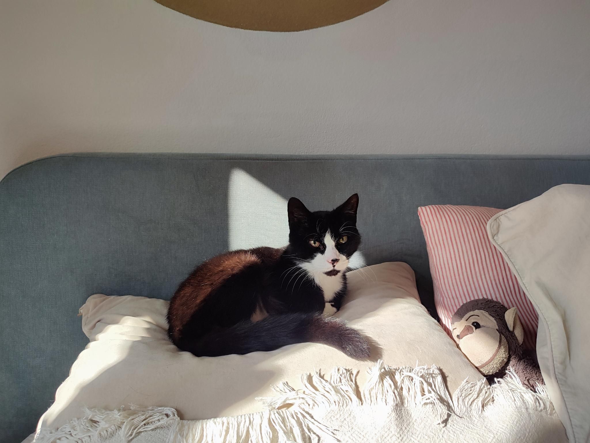 Mio - Hauptstraße 27, Bildein