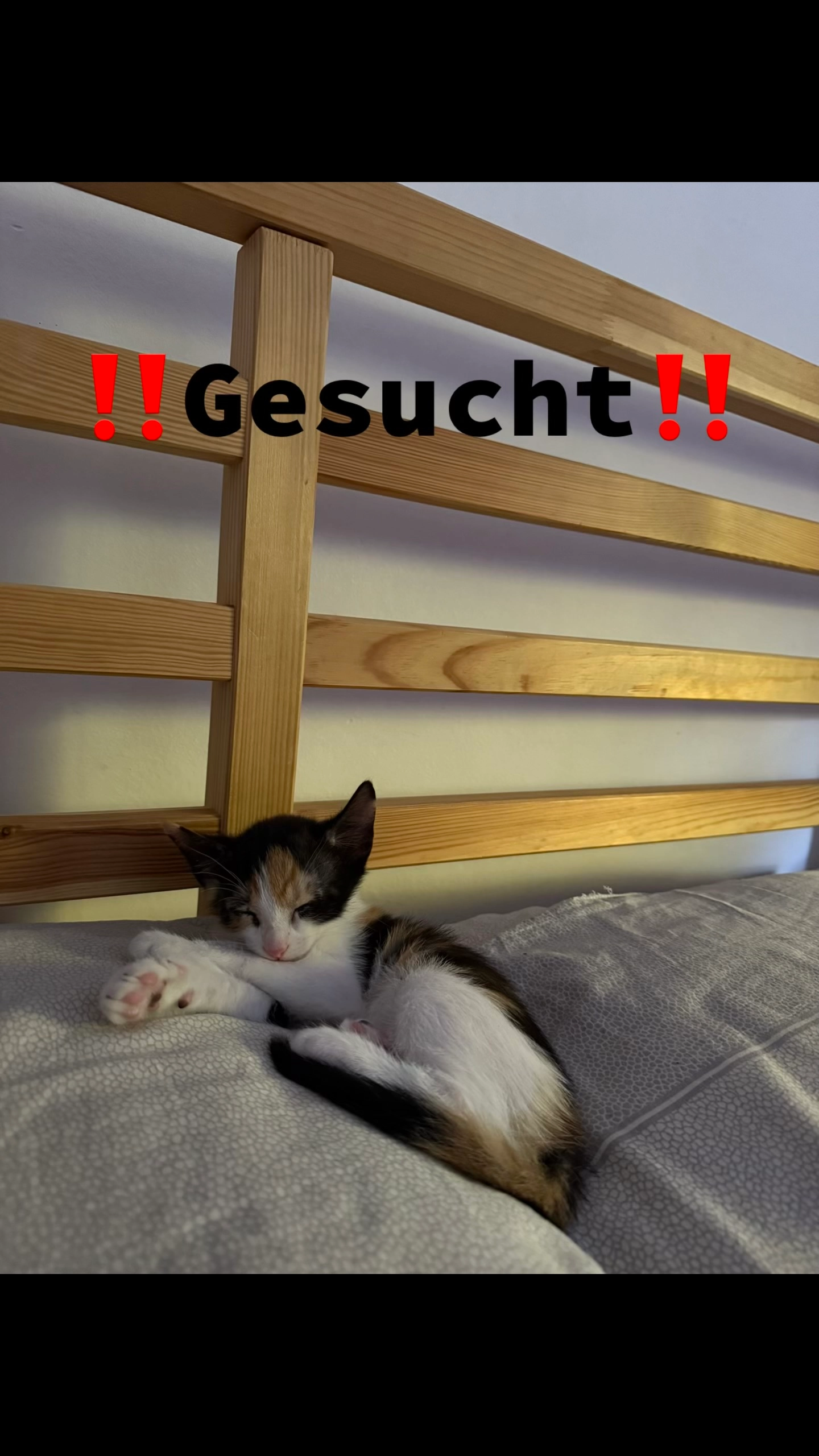 Ruby  - Puschkinallee 51, Hohen Neuendorf