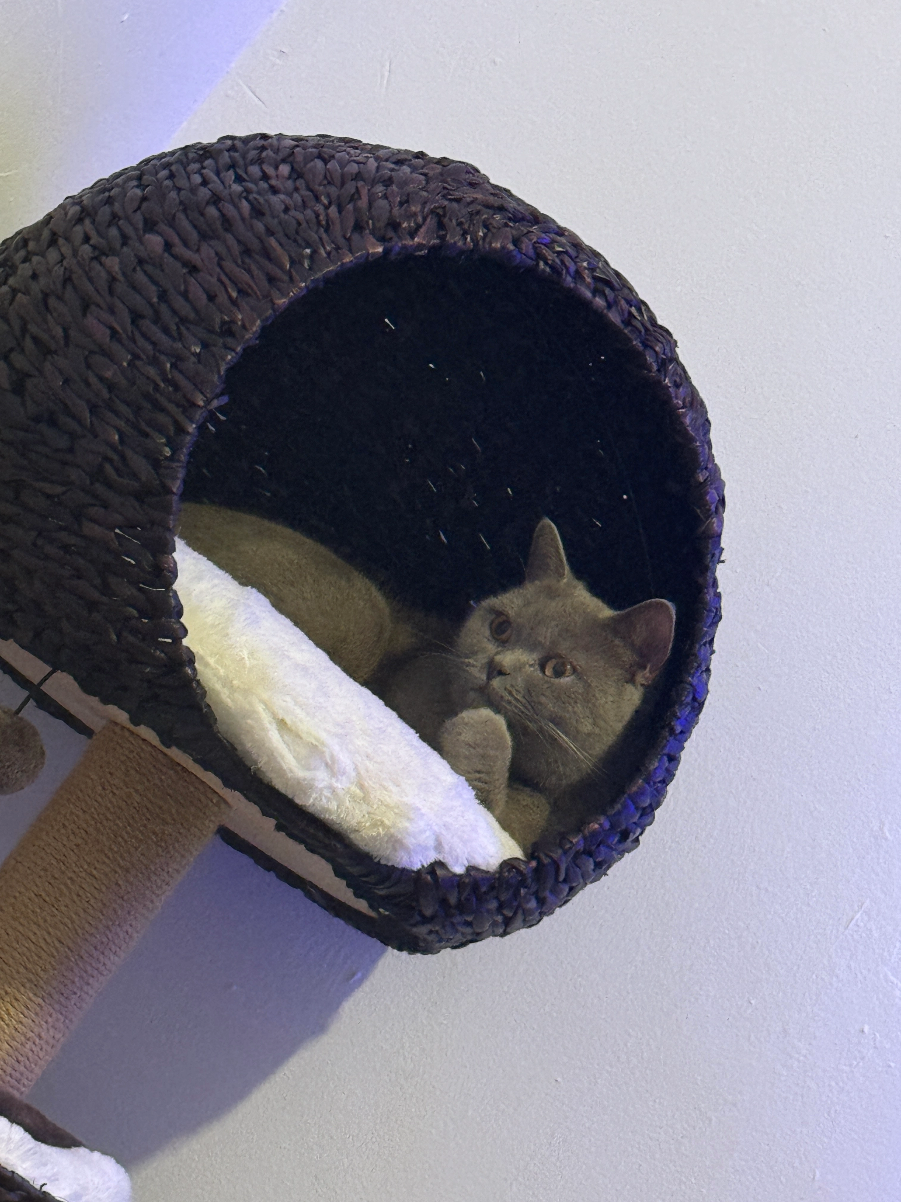 Skye - Cwmdu Street, Maesteg