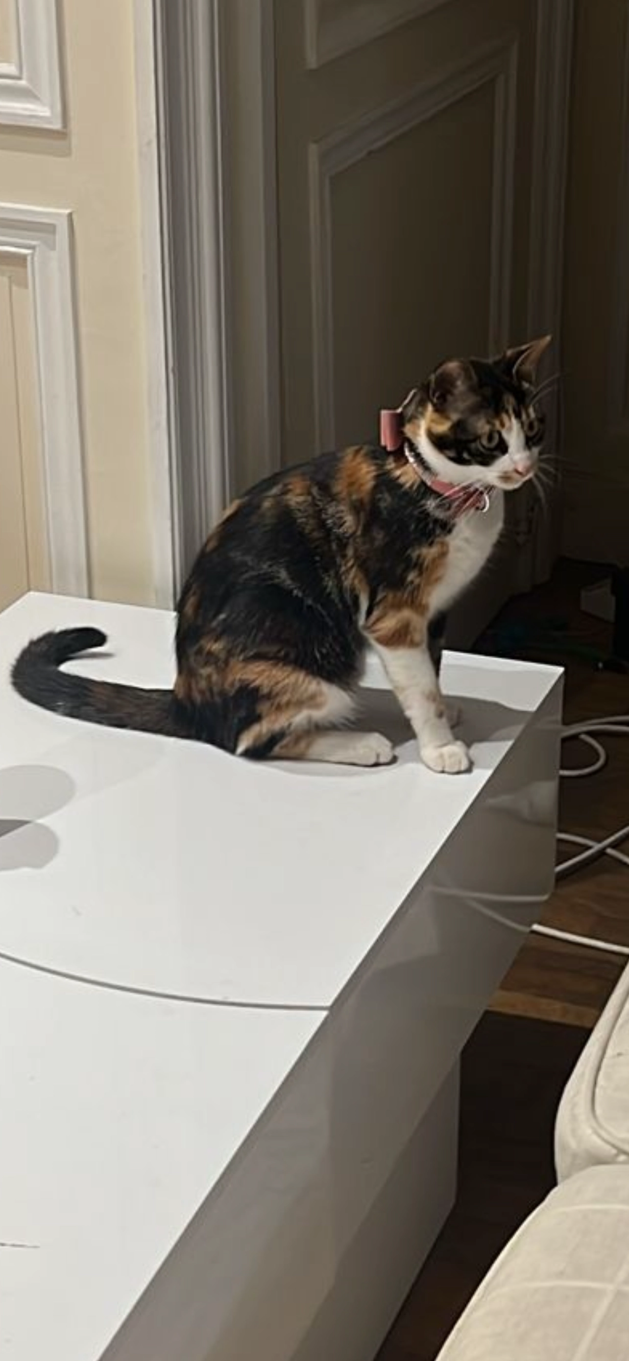 Nobu  - Rue de Longpont, Neuilly-sur-Seine