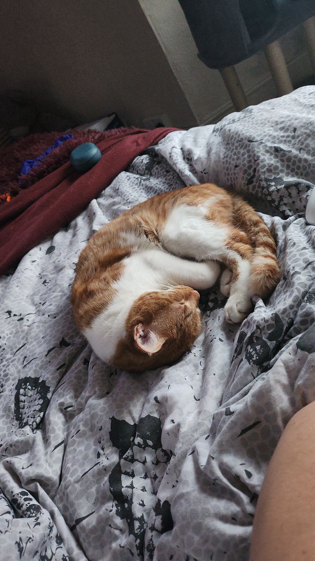 Felix - TR2 4JW, Truro