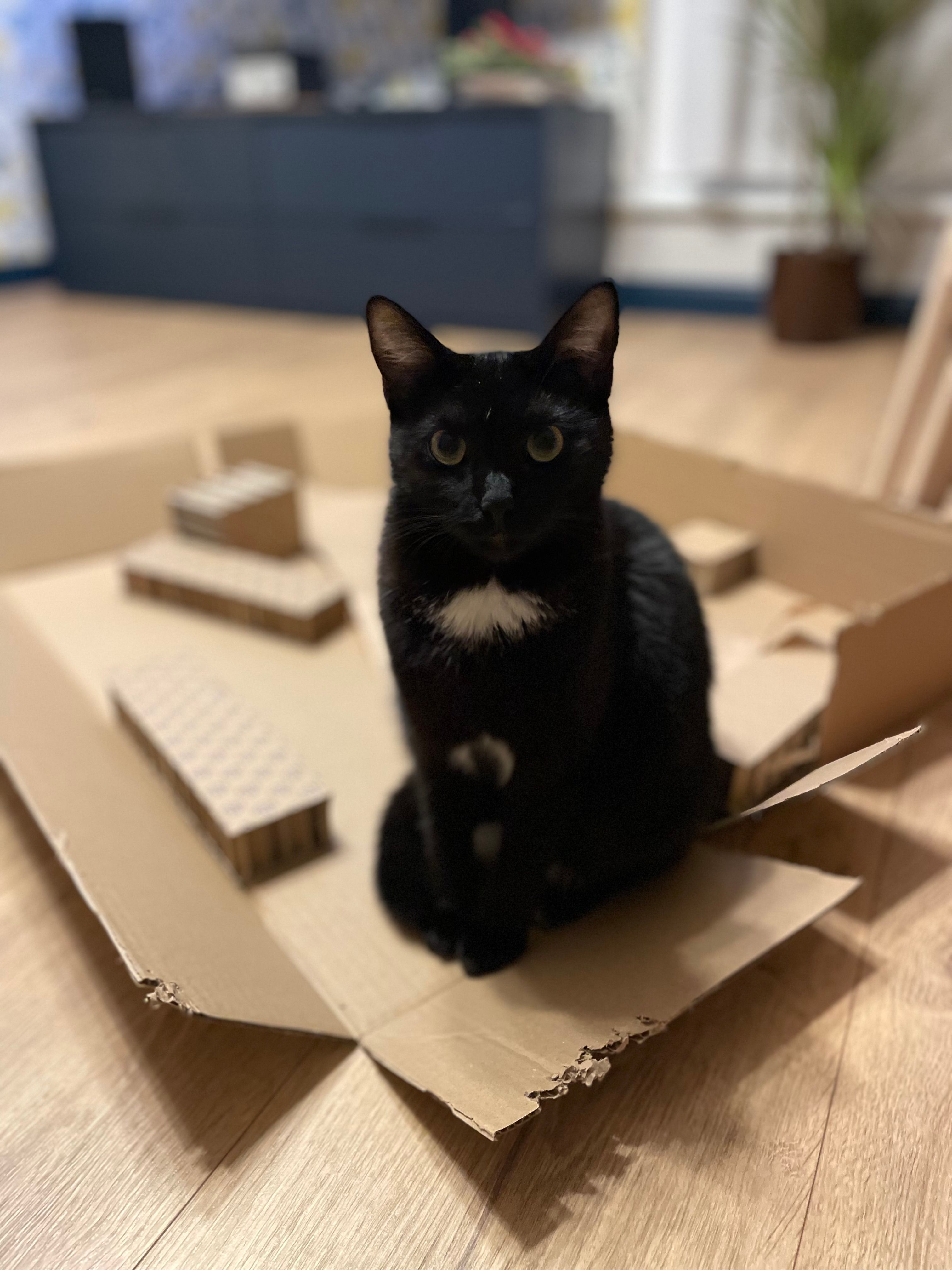 Luna - Saulės G., Klaipeda City Municipality