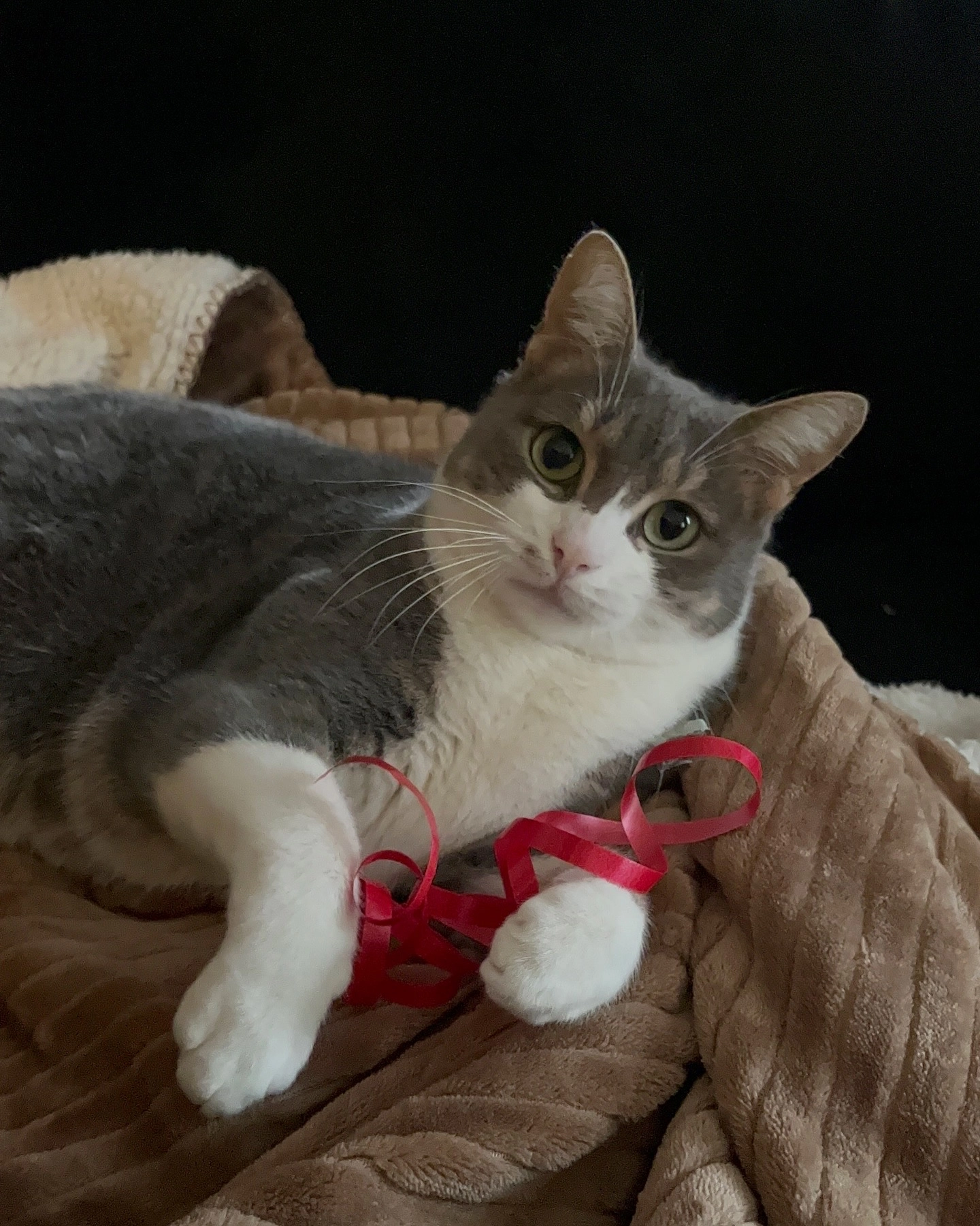 Neiji - Rue Du Château, Précy-sur-Oise