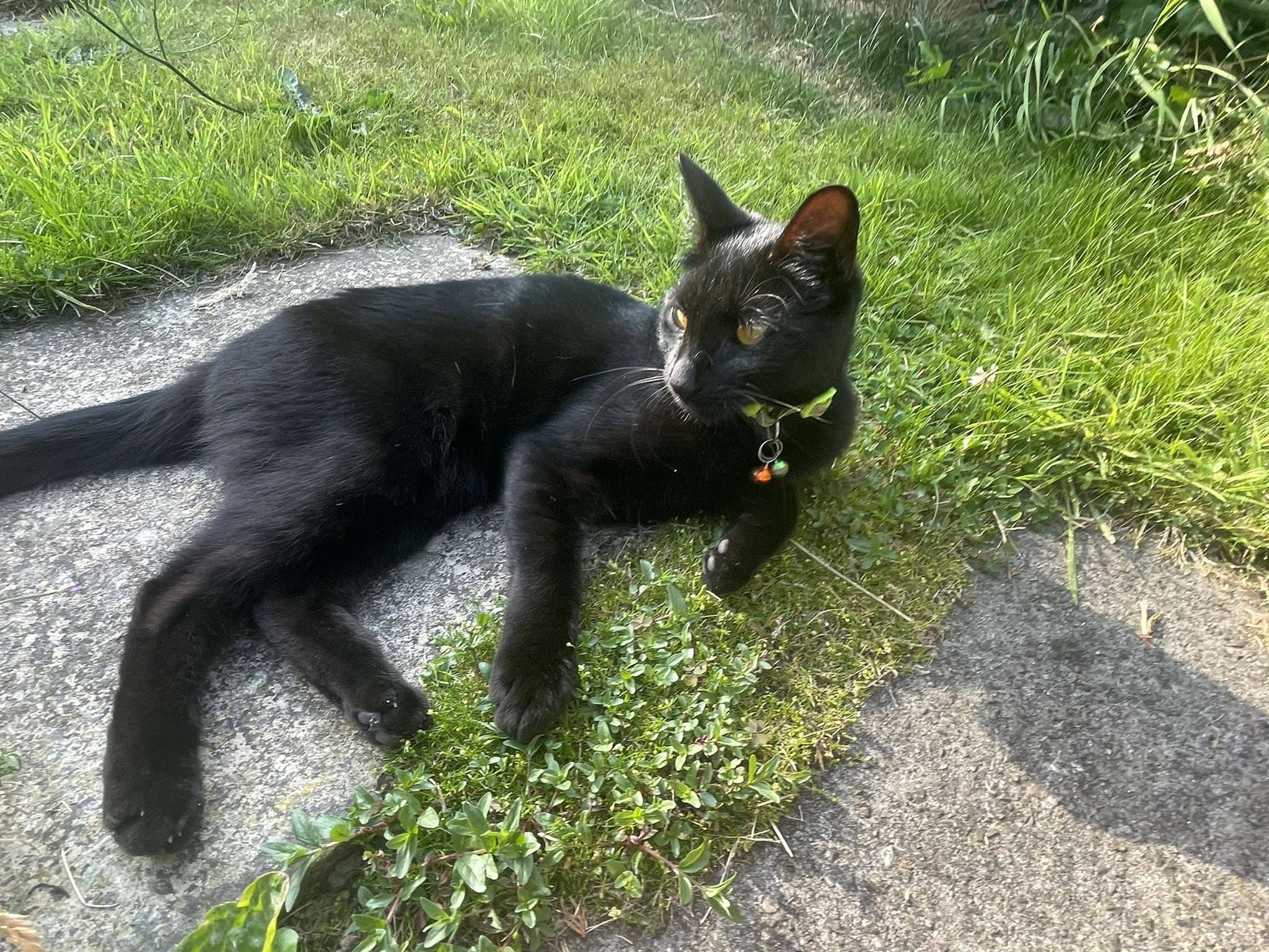 Nova - Broadacres, Goole