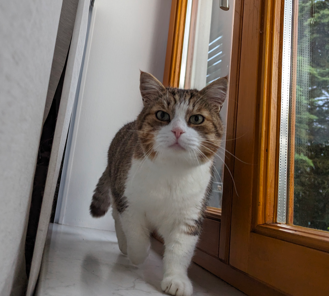 Sebi - Leberried, Wagna