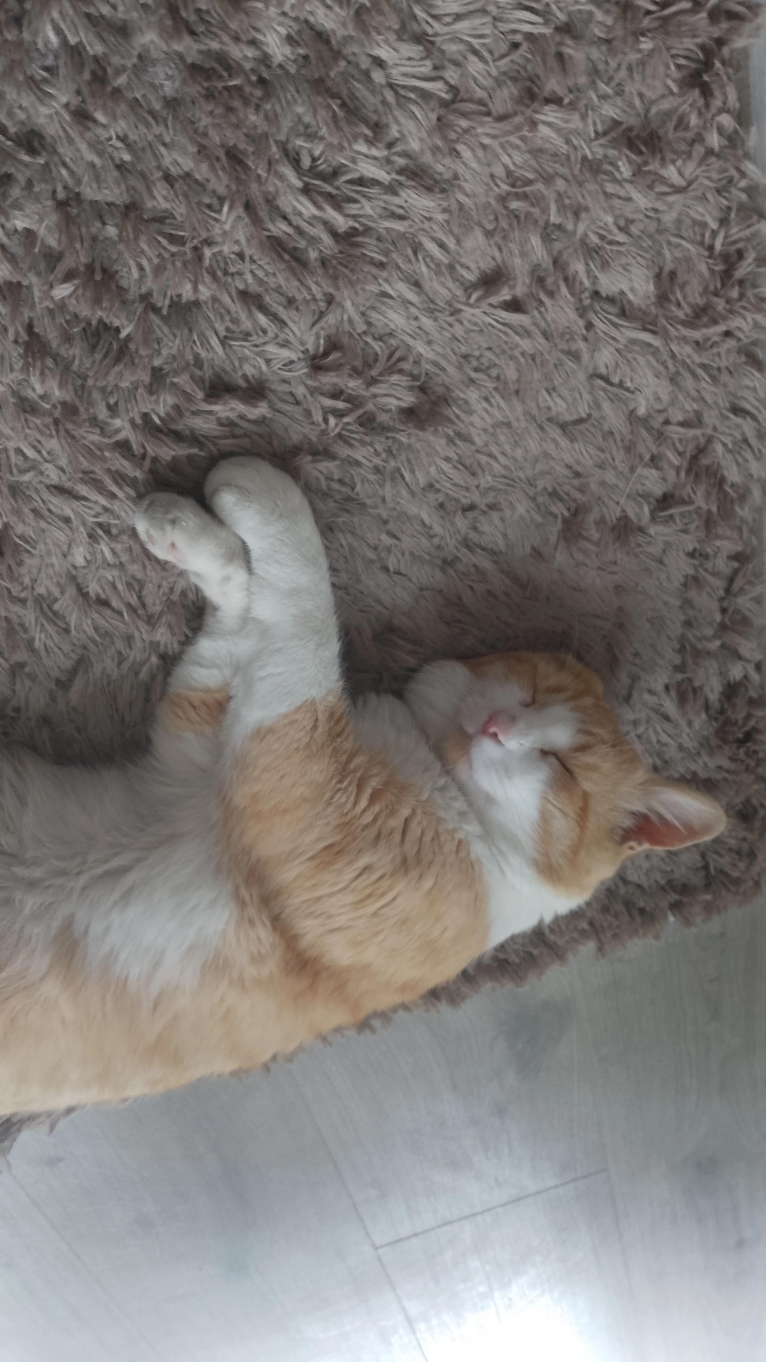 Sunny  - CH46 2, Wirral