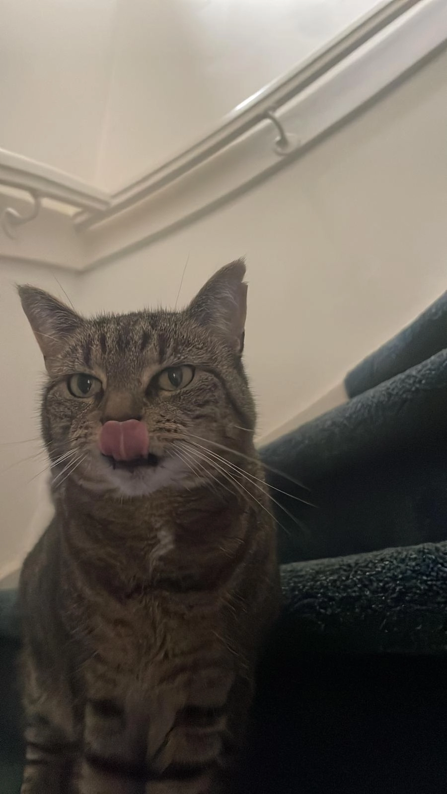 Poffertje - Kamerlingh Onneslaan, Heemstede