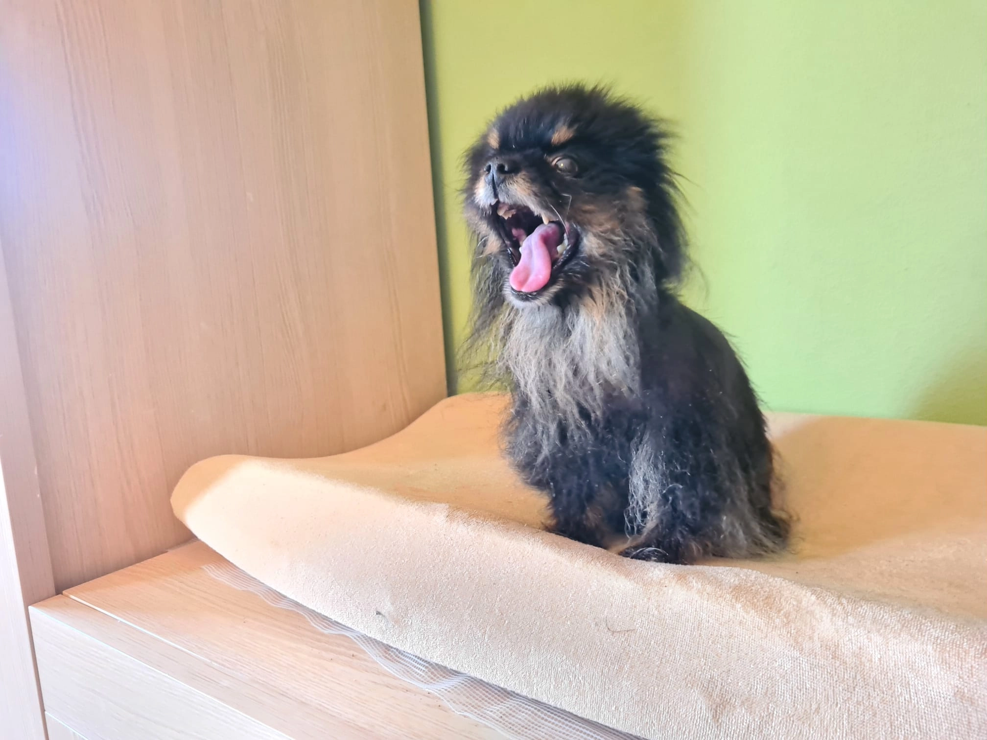 Athena - Rue De Steinsel, Bereldange